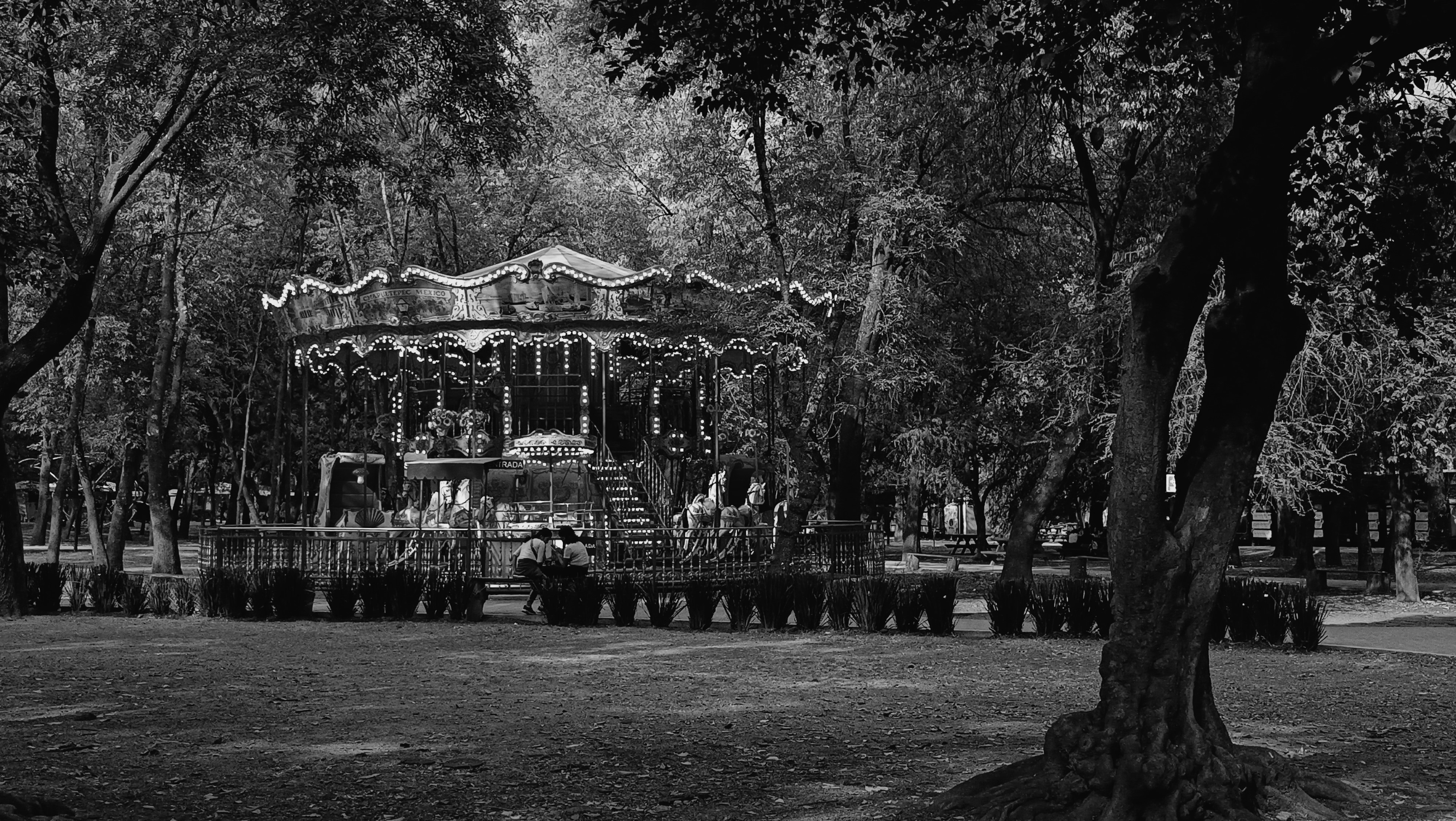Parque Bosque de los Pirules