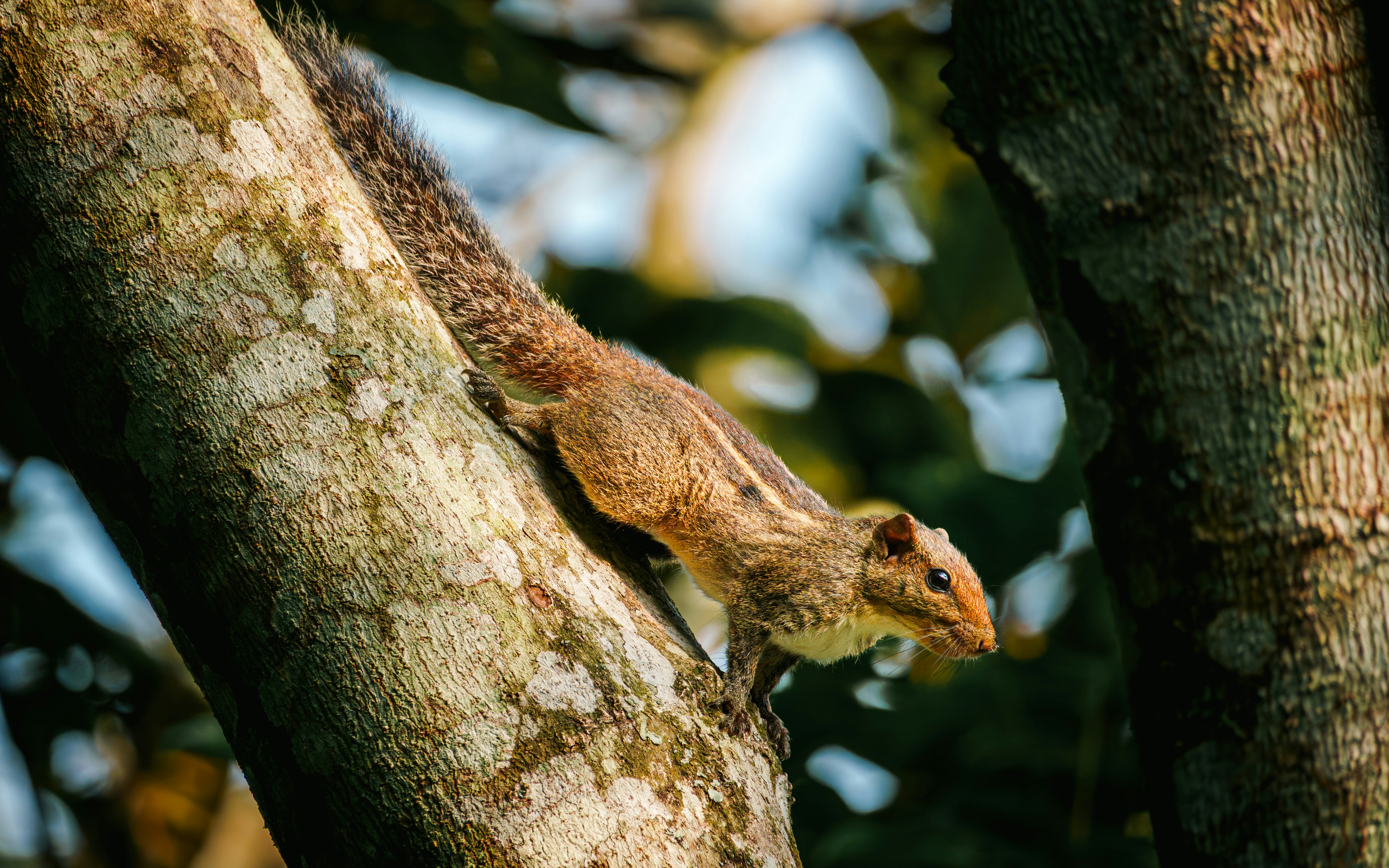 Photo by shibinjoseph