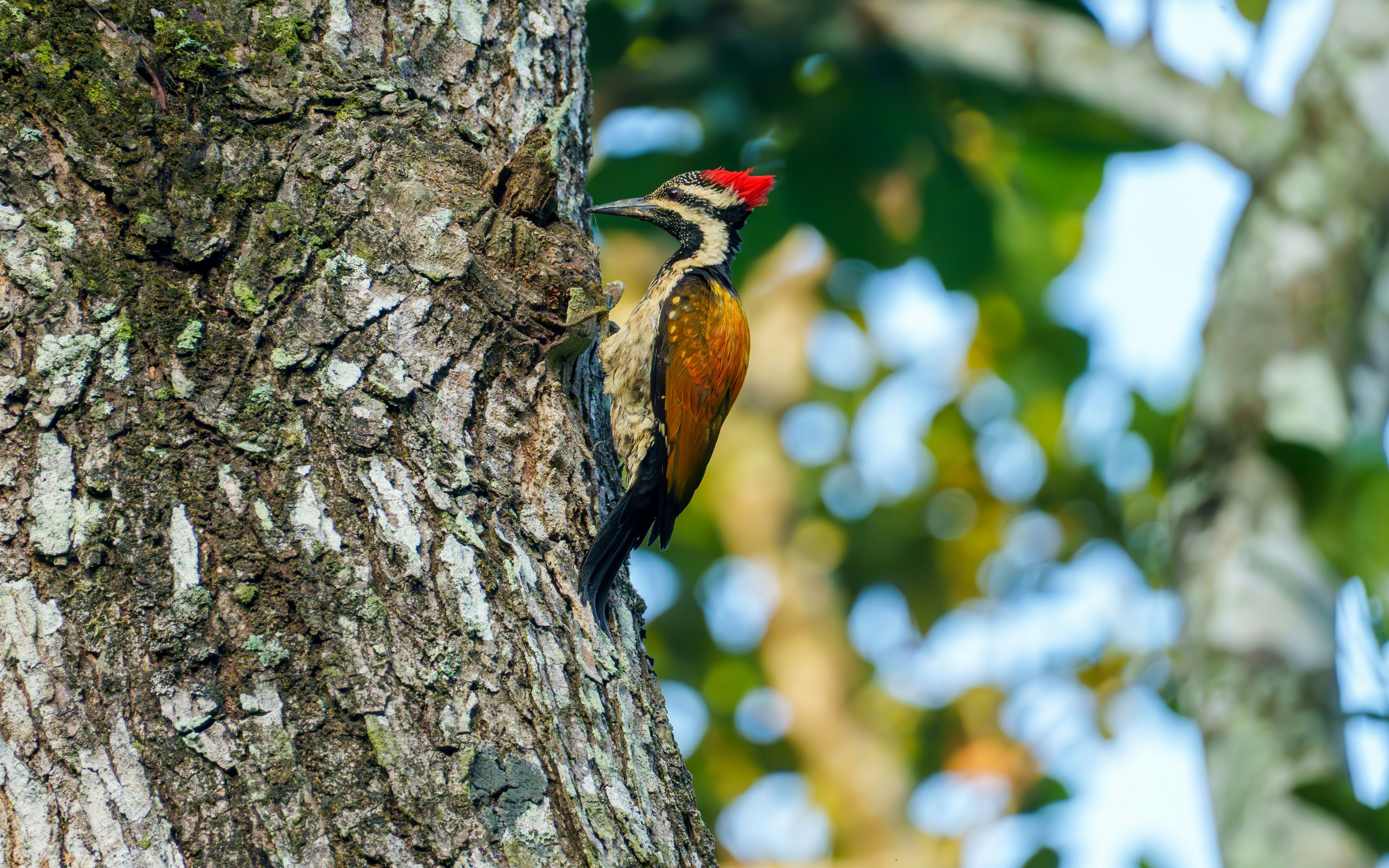 Photo by shibinjoseph