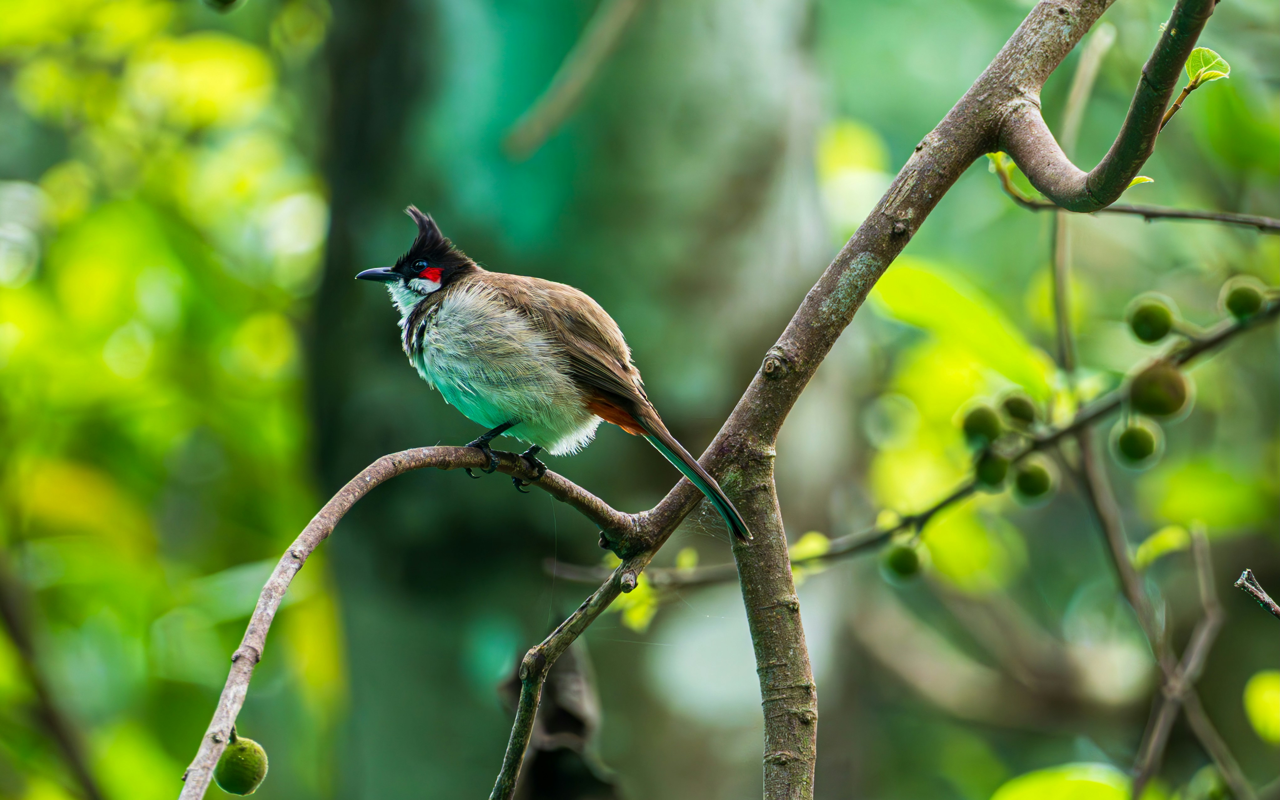 Photo by shibinjoseph