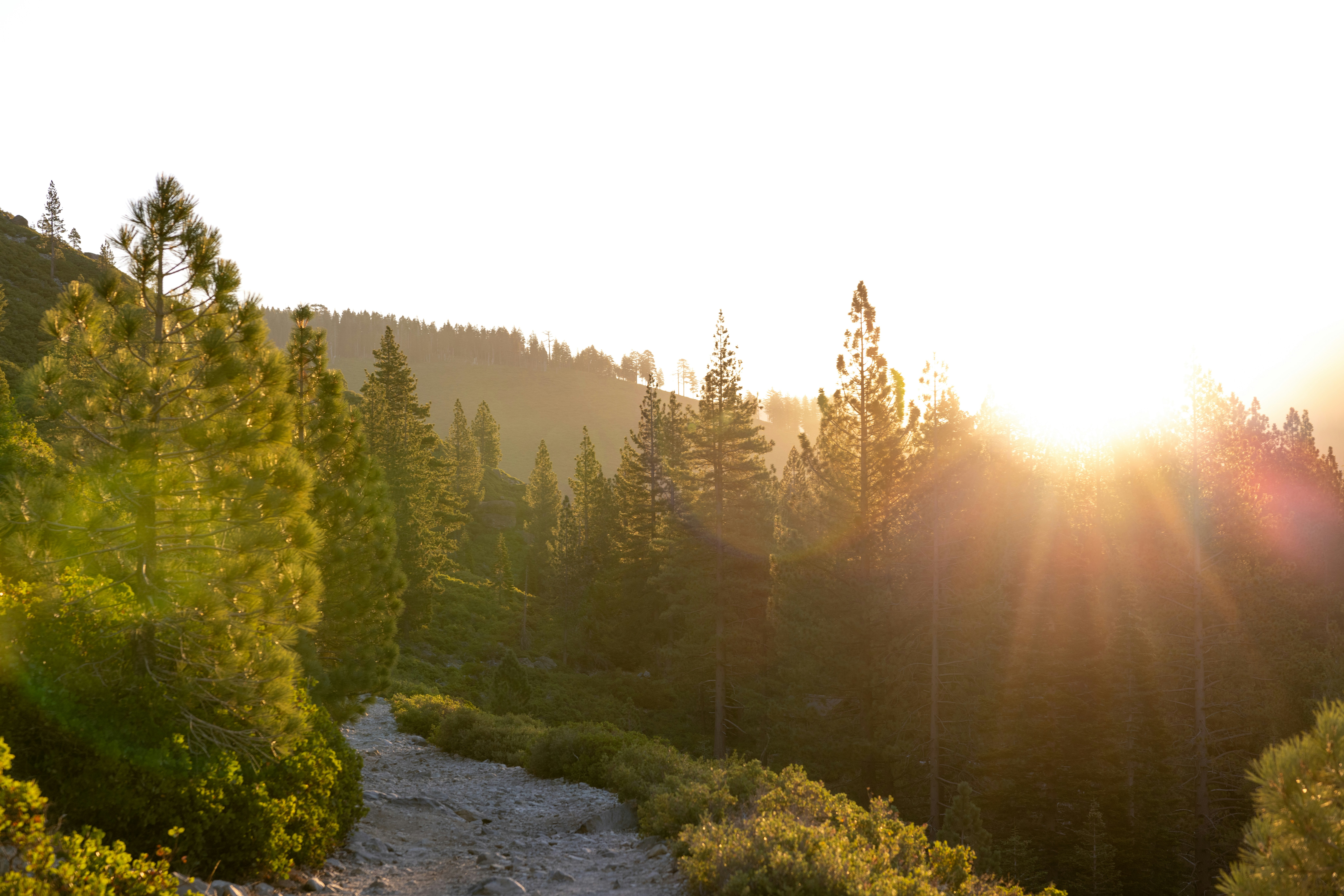 Photo by casunshine0508