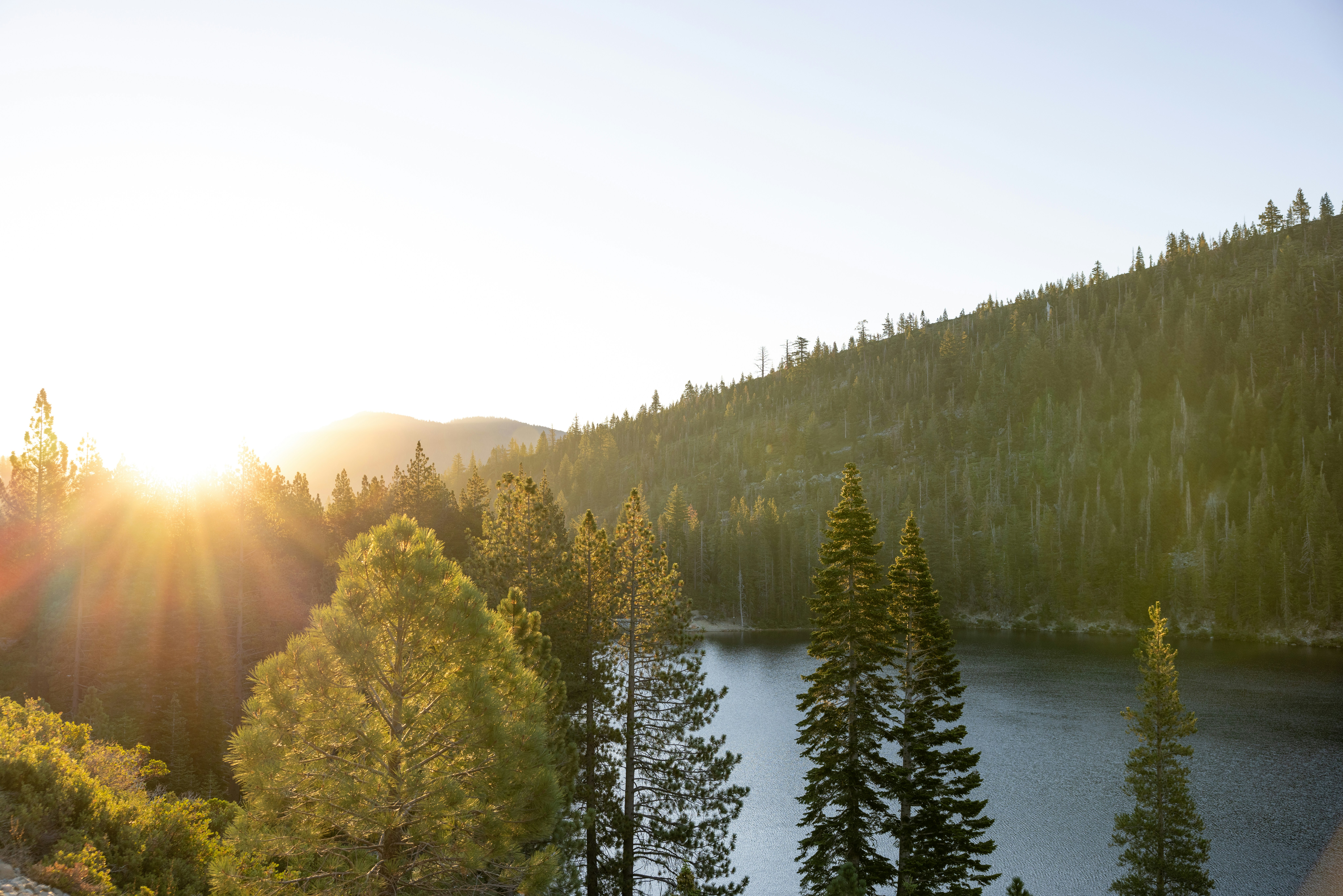 Photo by casunshine0508