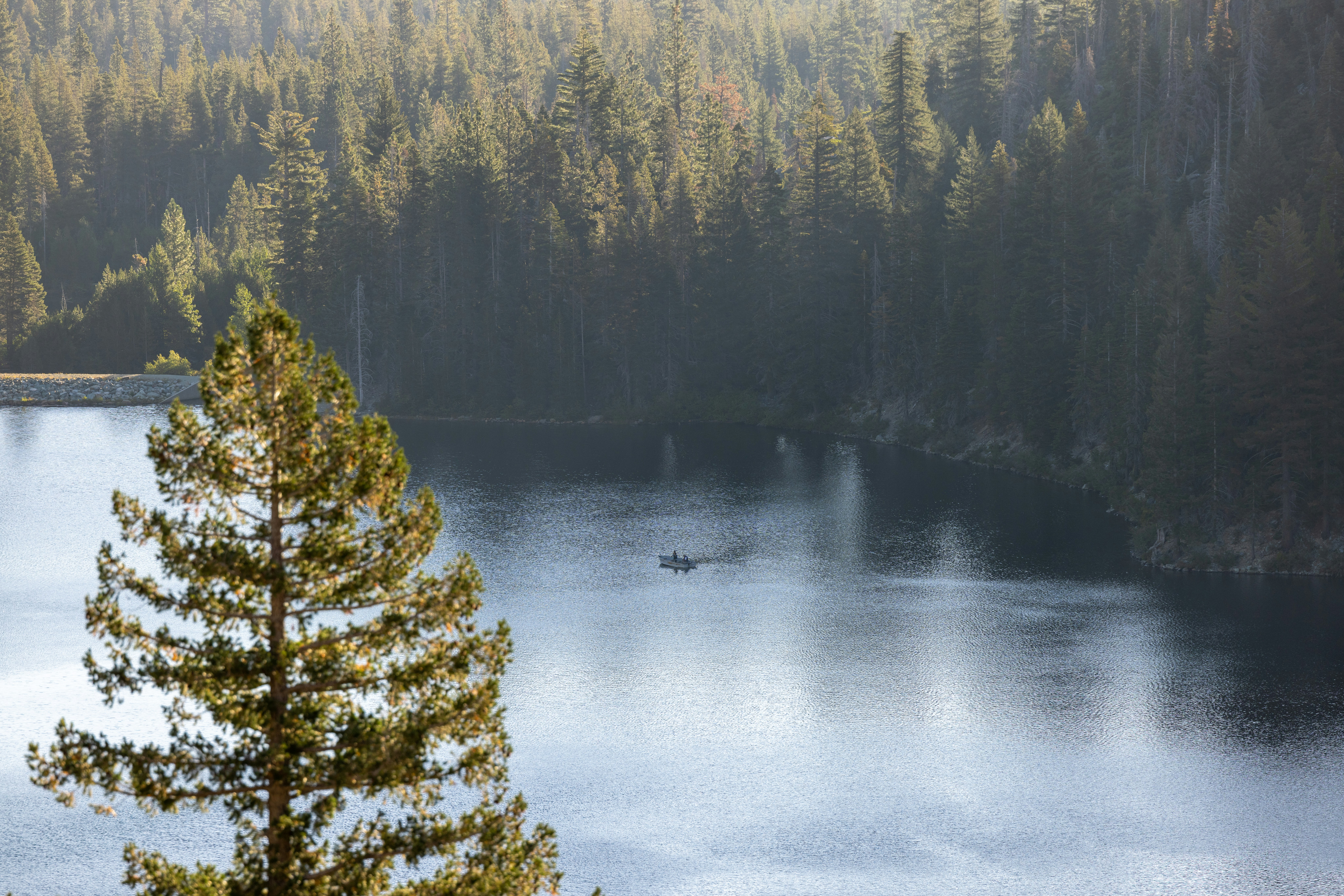 Photo by casunshine0508