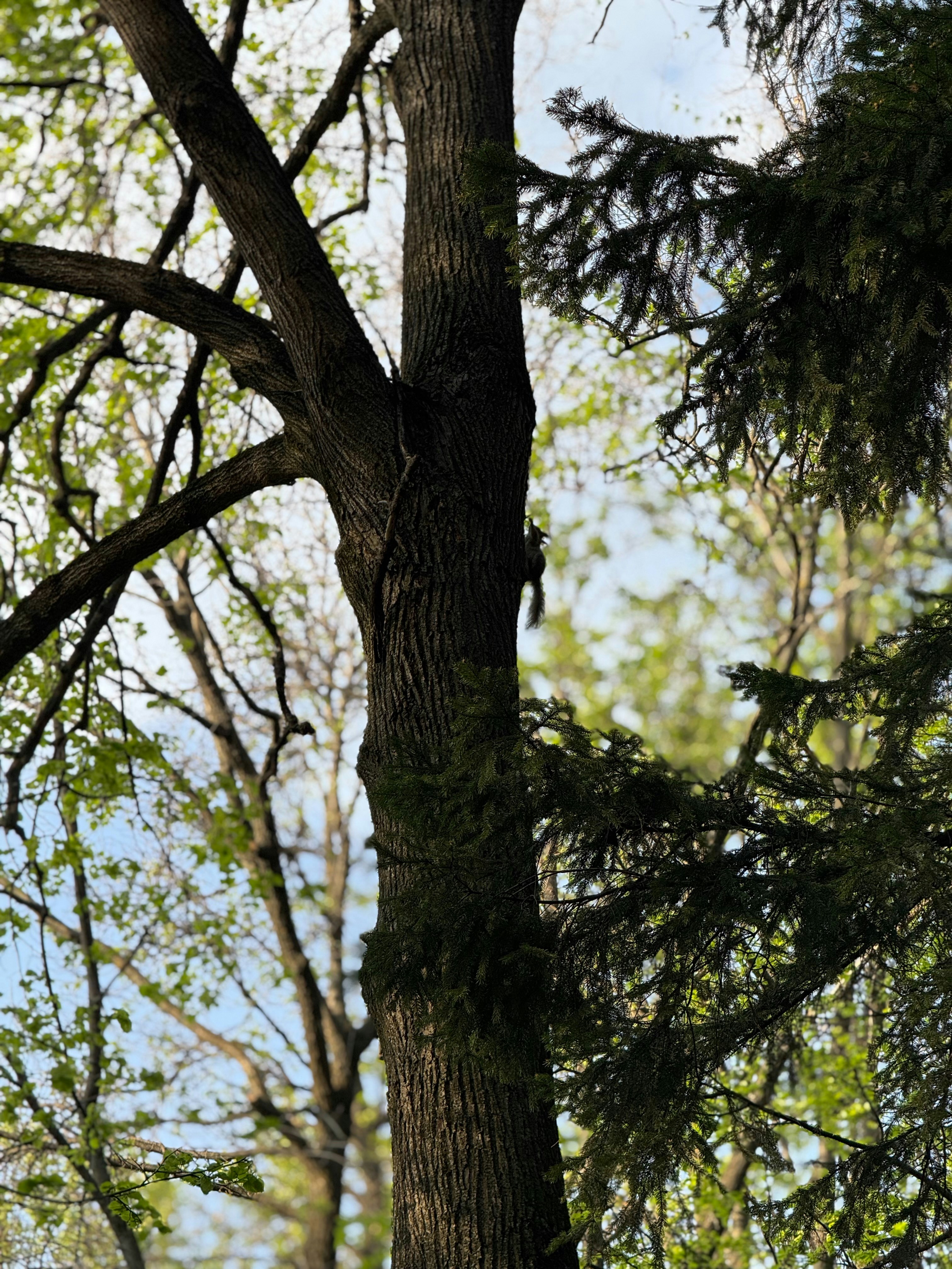 Photo by maisikabrain