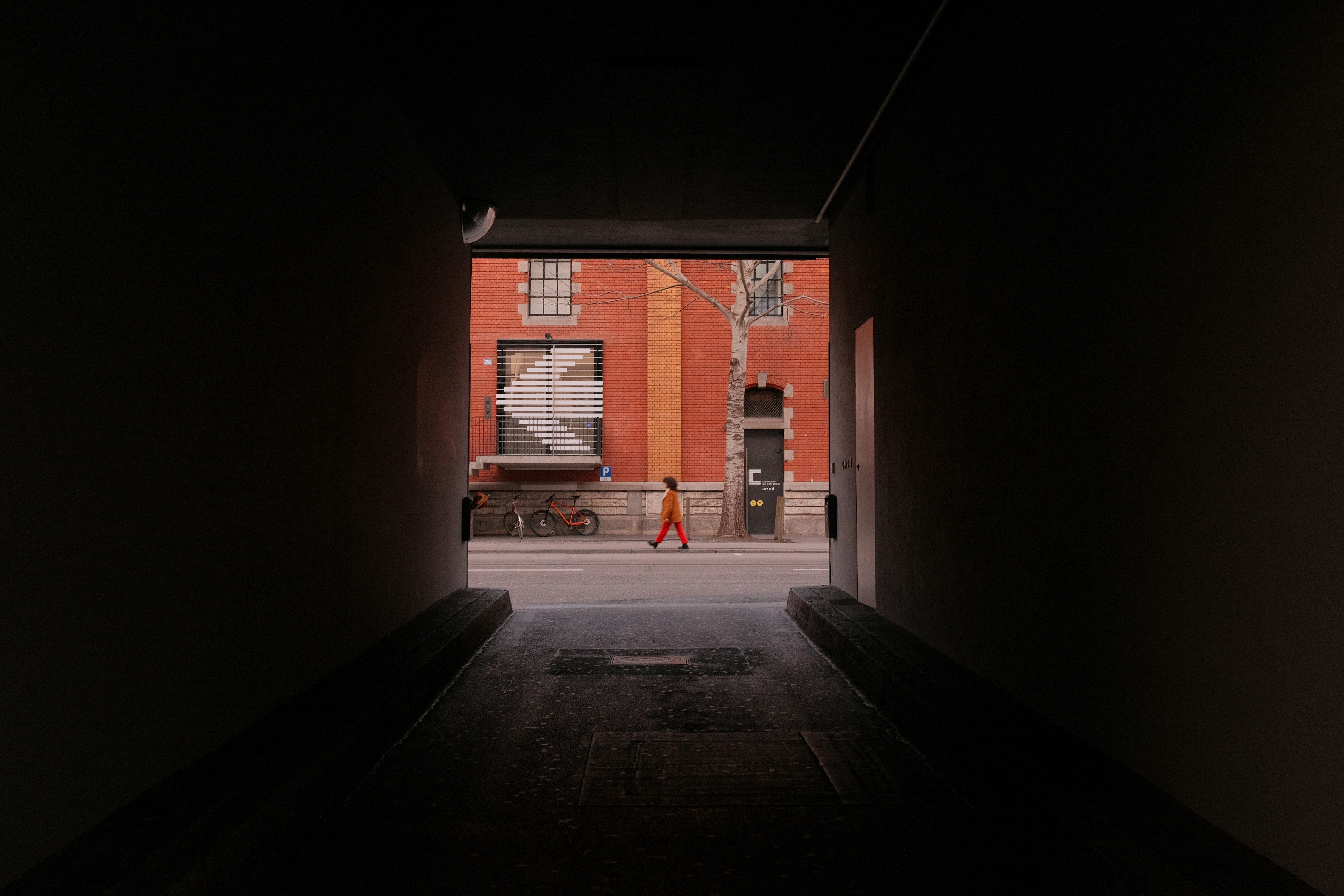 Photo by purzlbaum