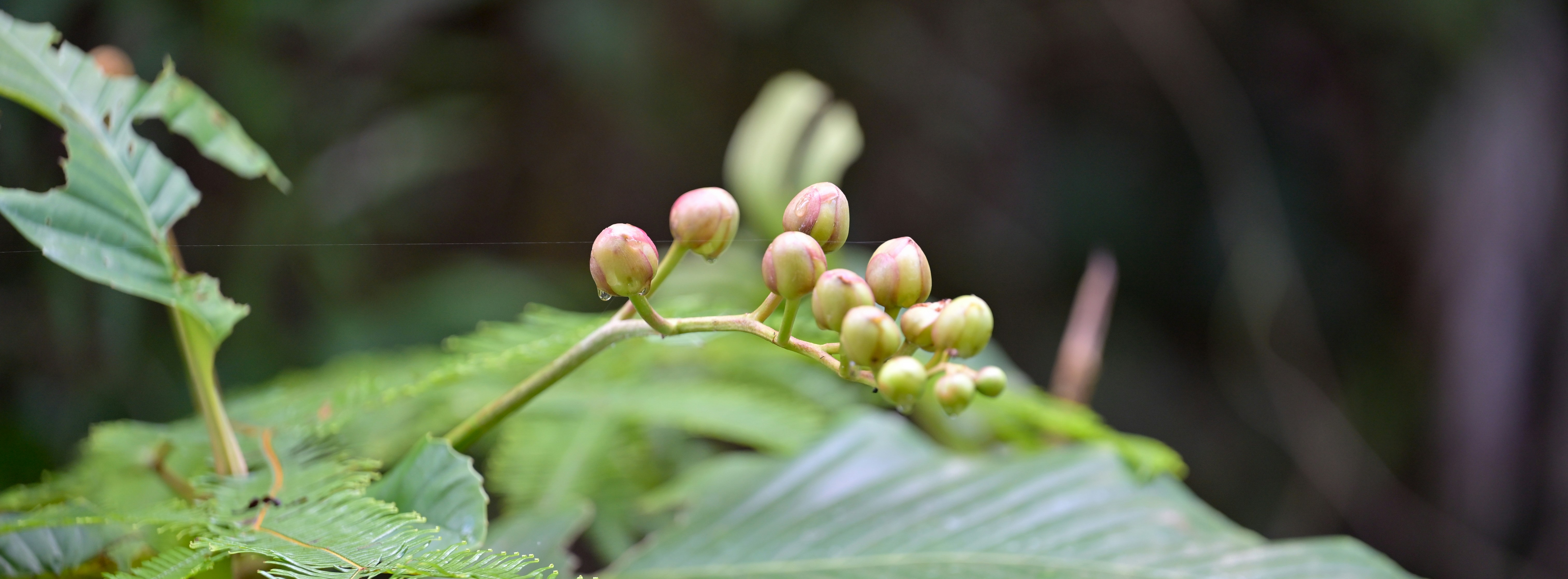 Photo by jonathankslim