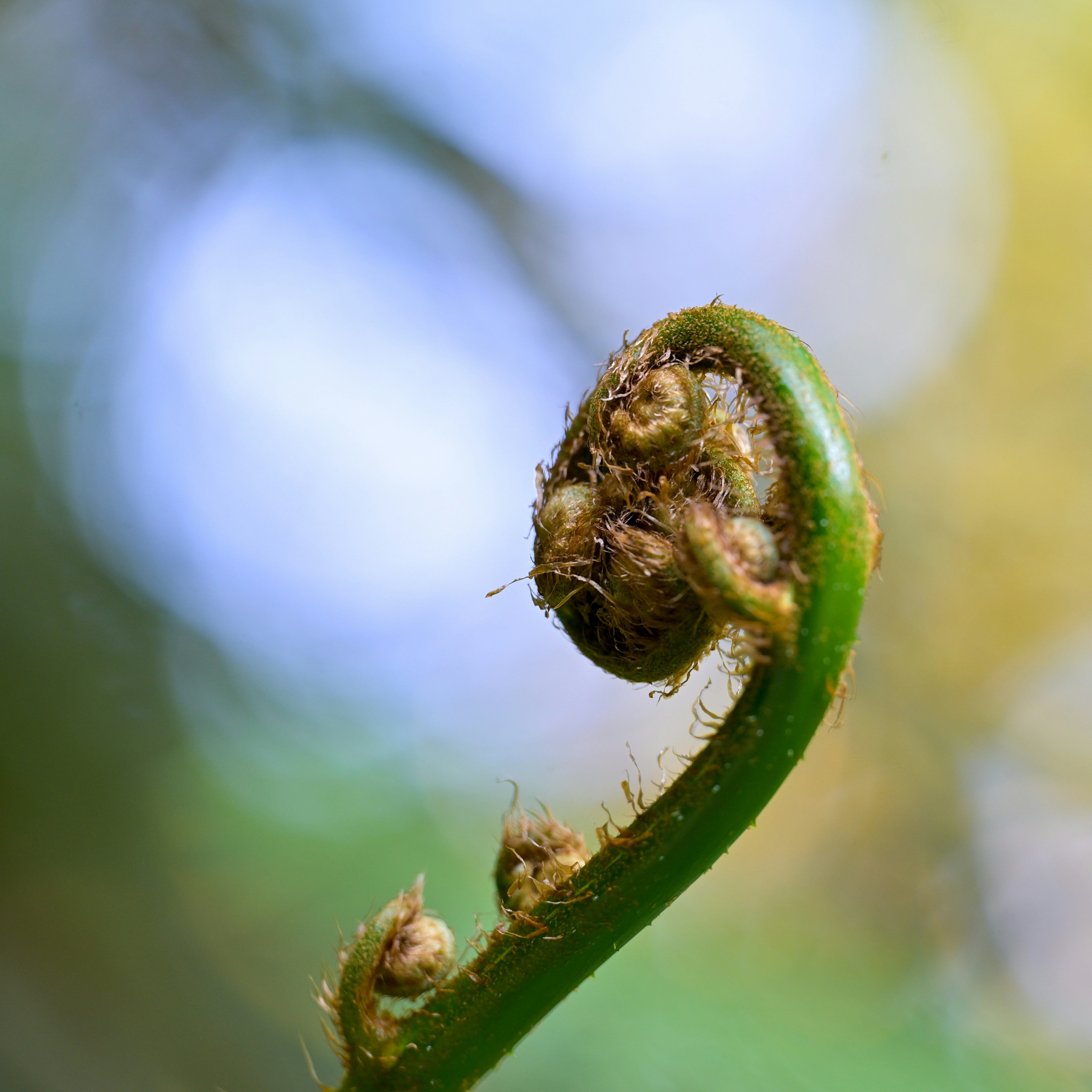 Photo by jonathankslim