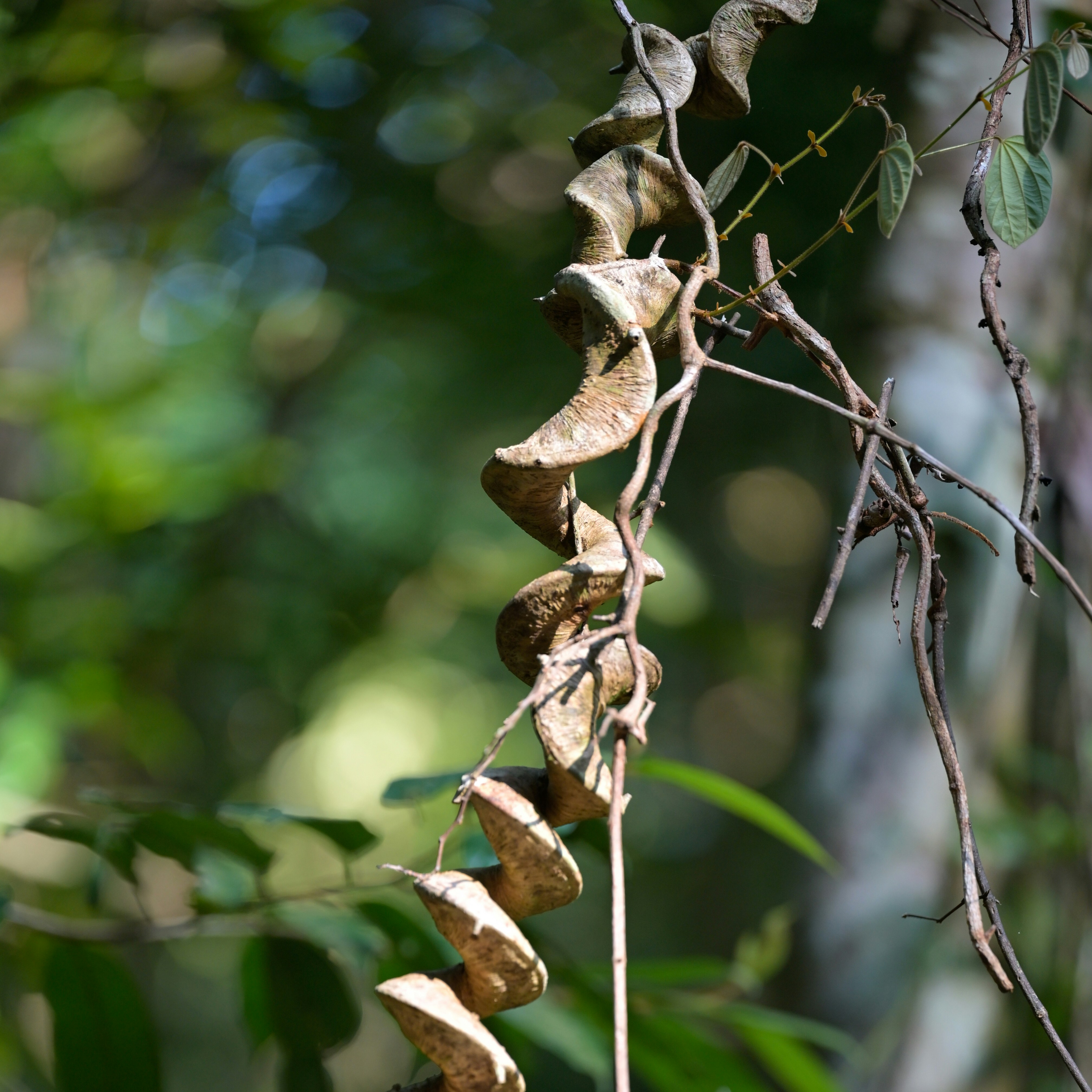 Photo by jonathankslim