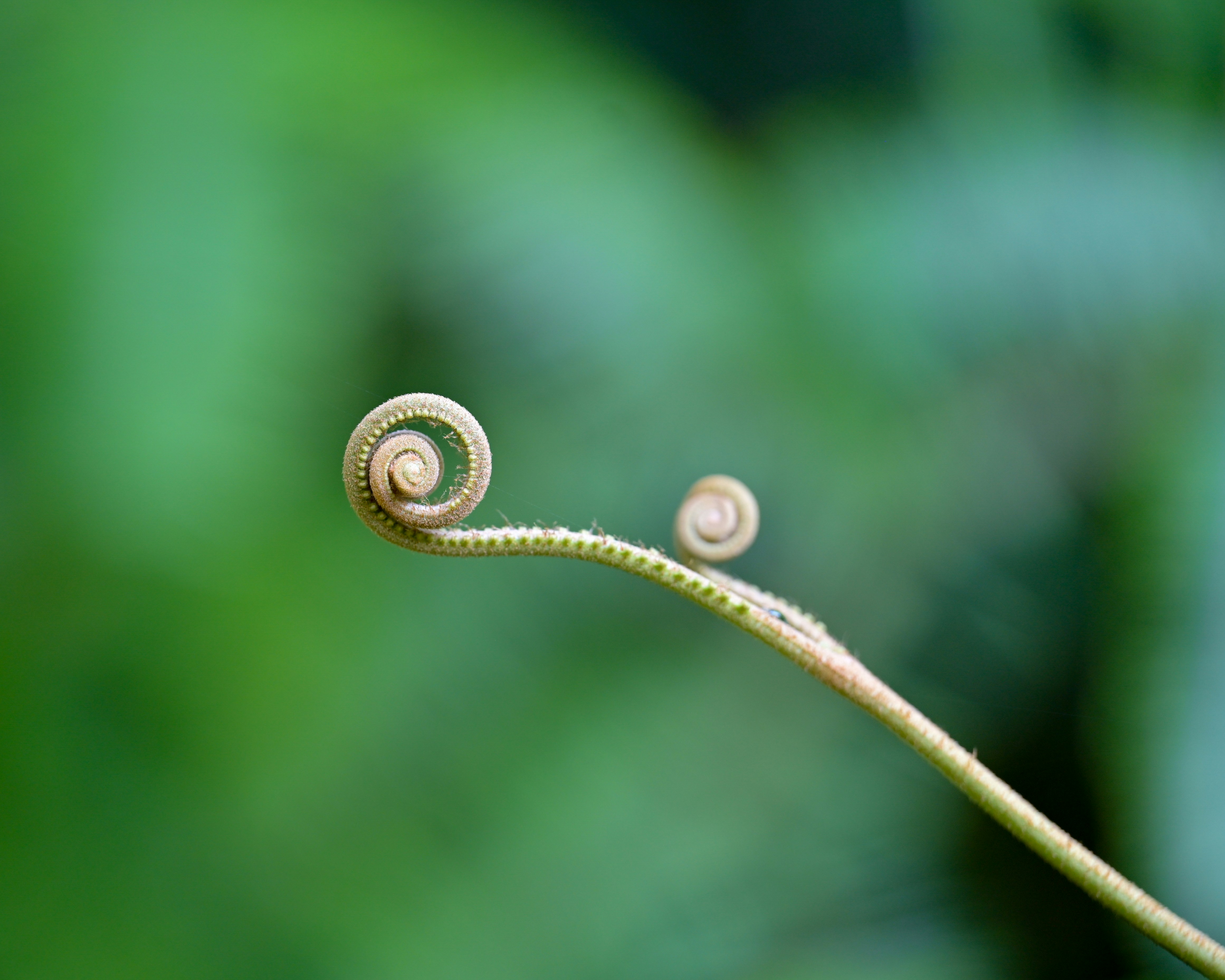 Photo by jonathankslim