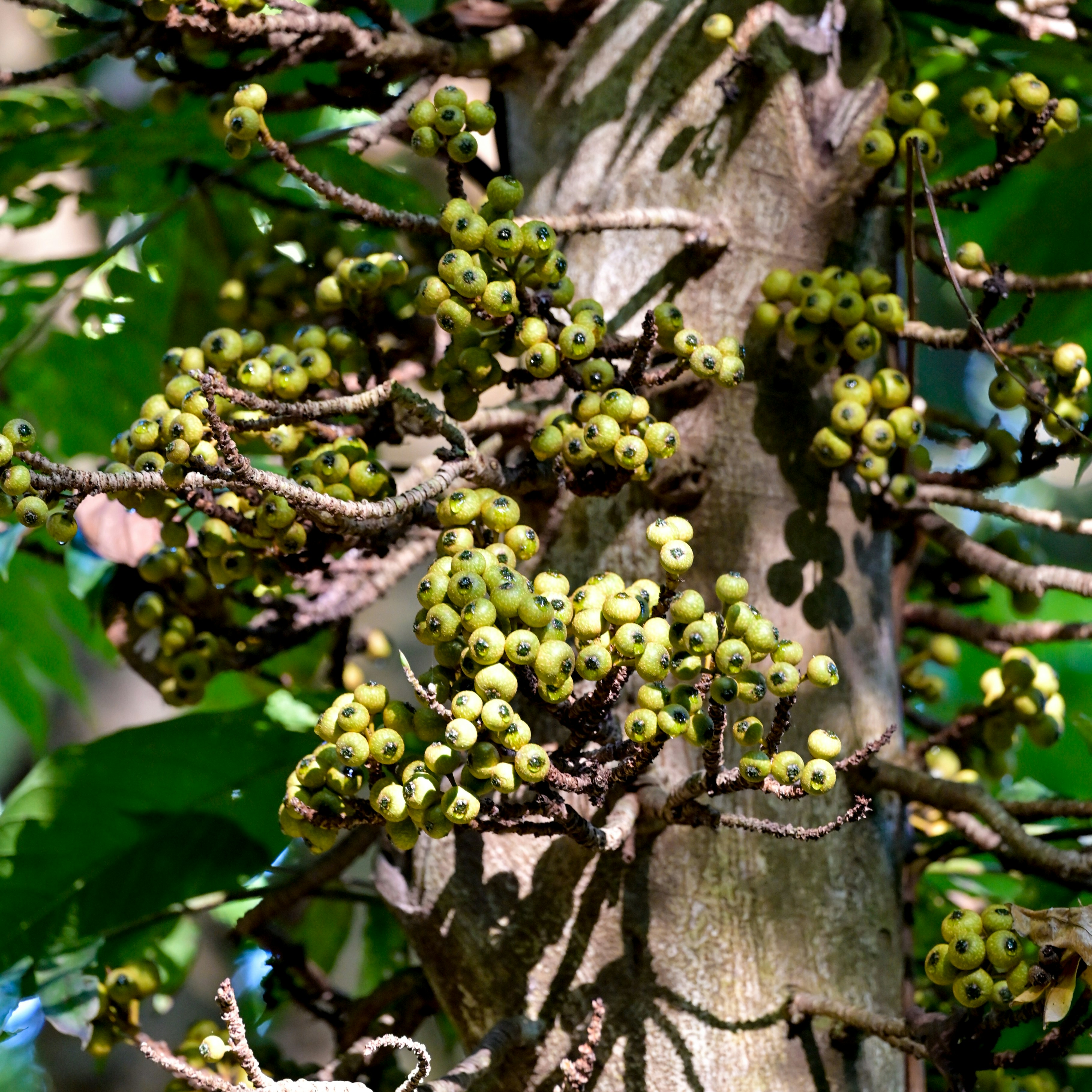 Photo by jonathankslim