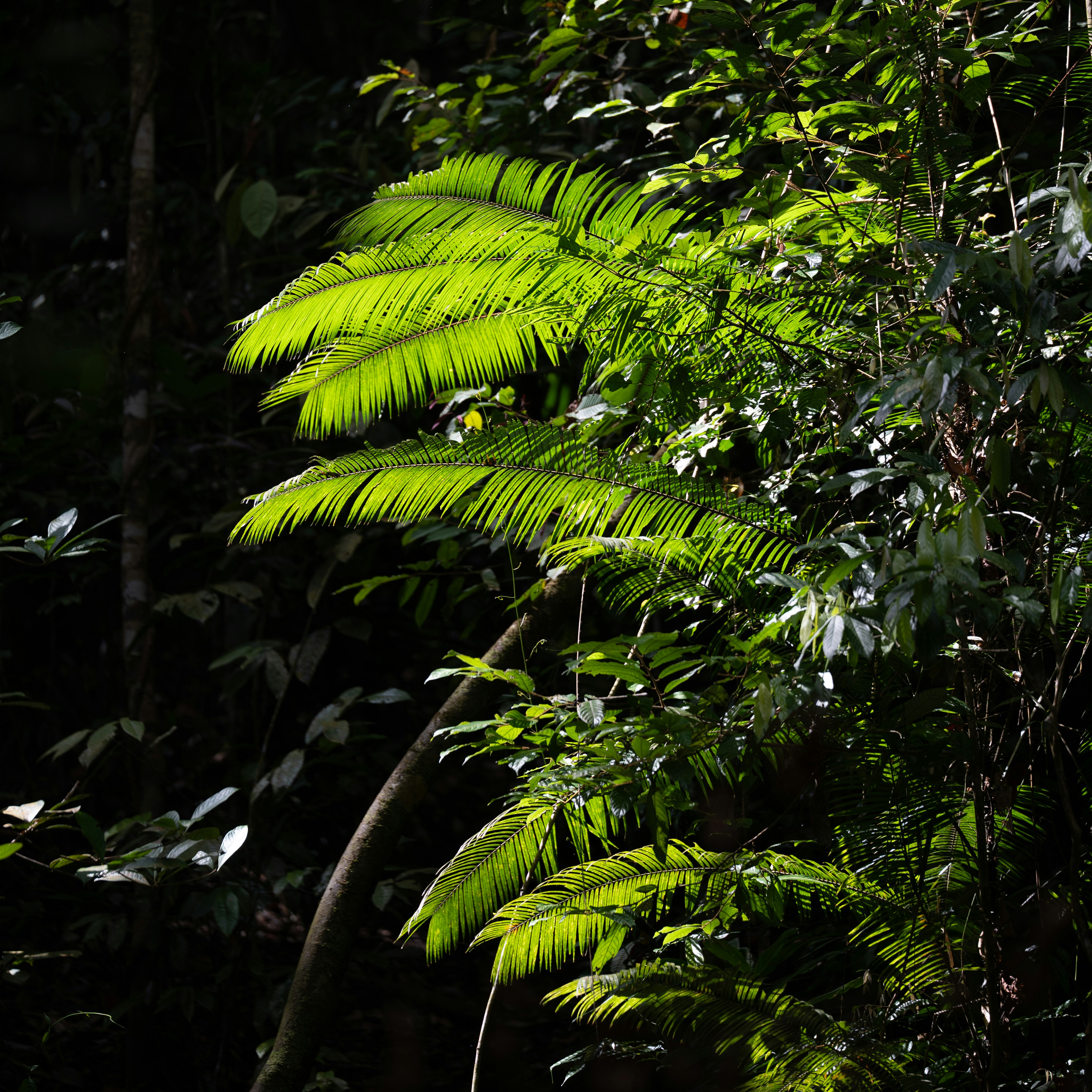 Photo by jonathankslim