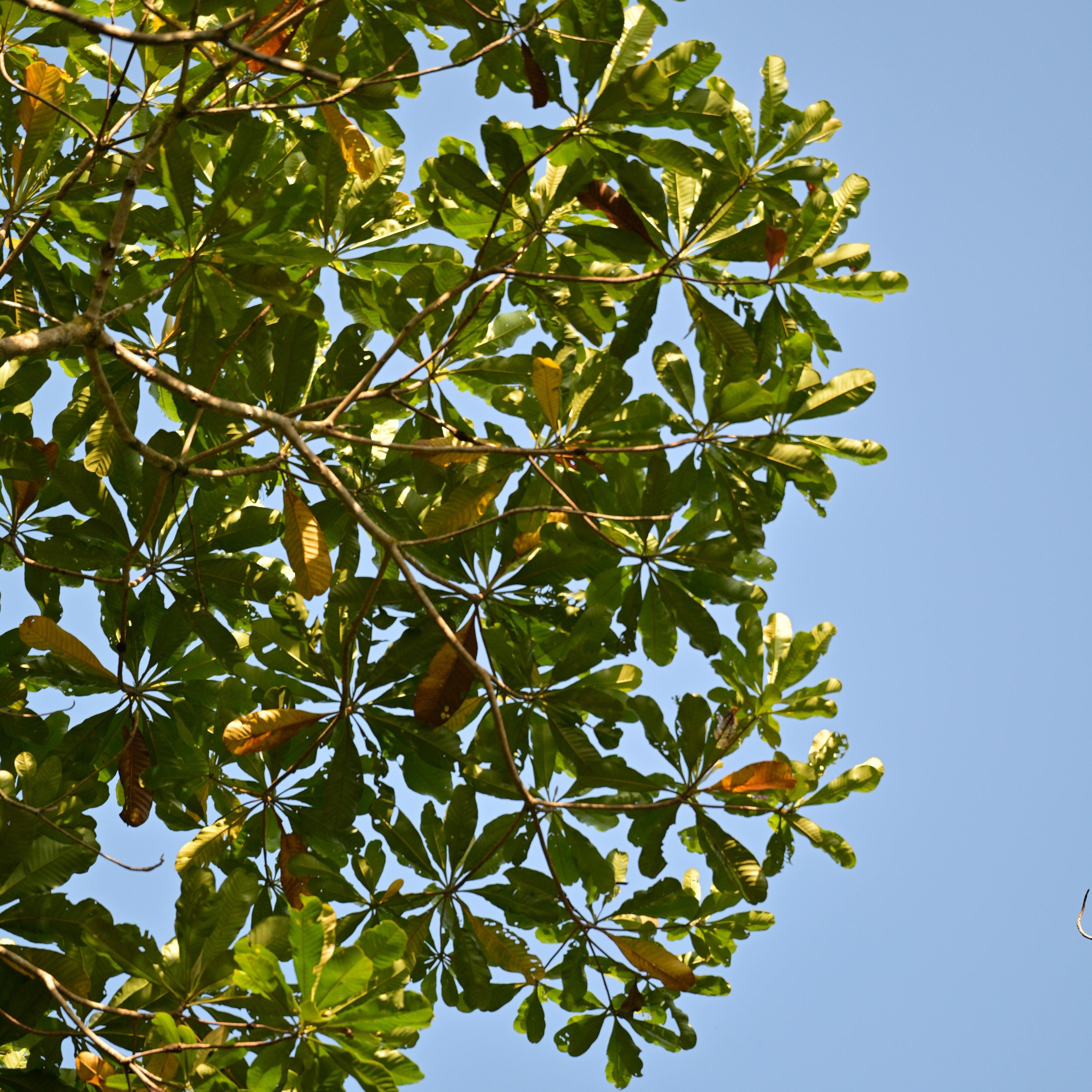 Photo by jonathankslim