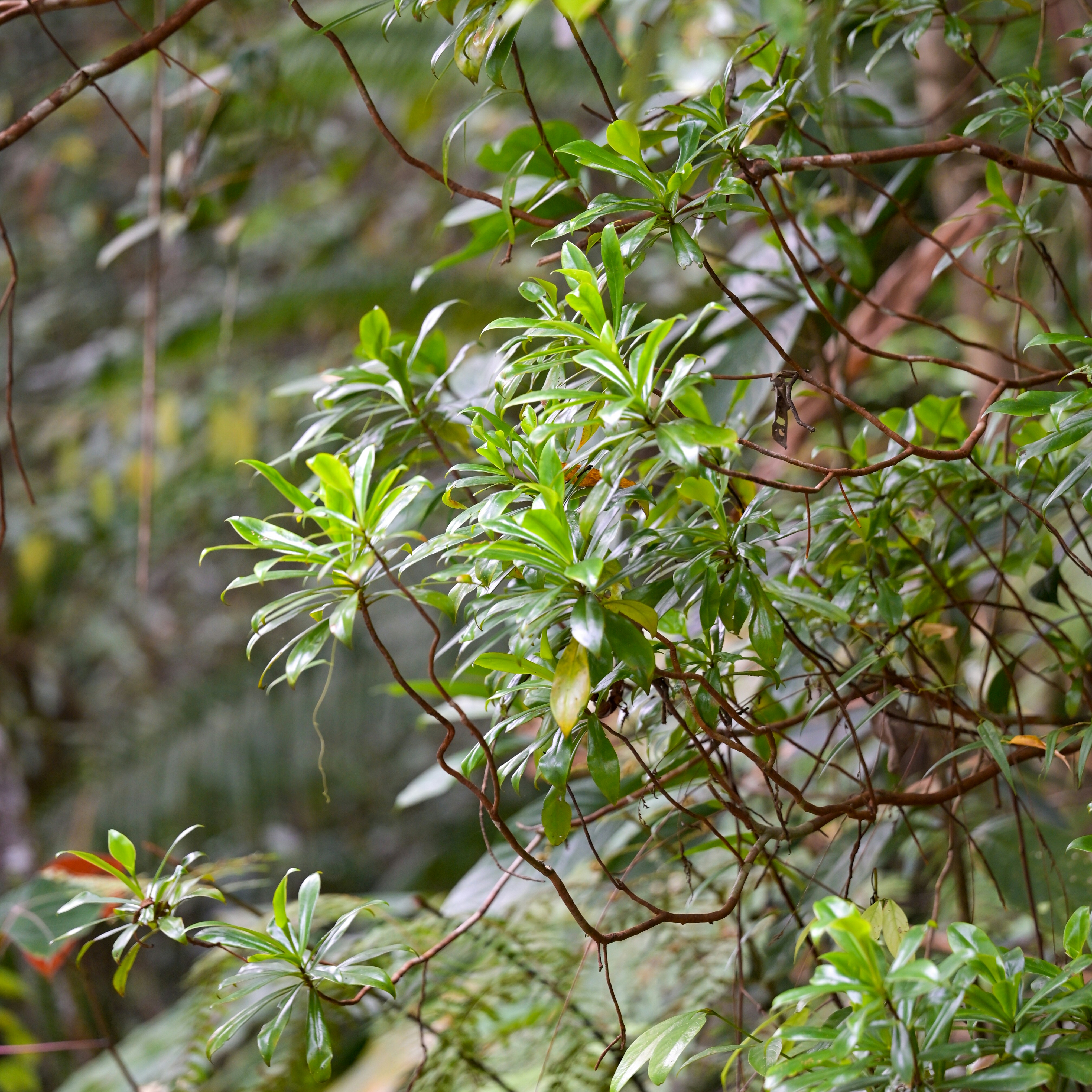 Photo by jonathankslim