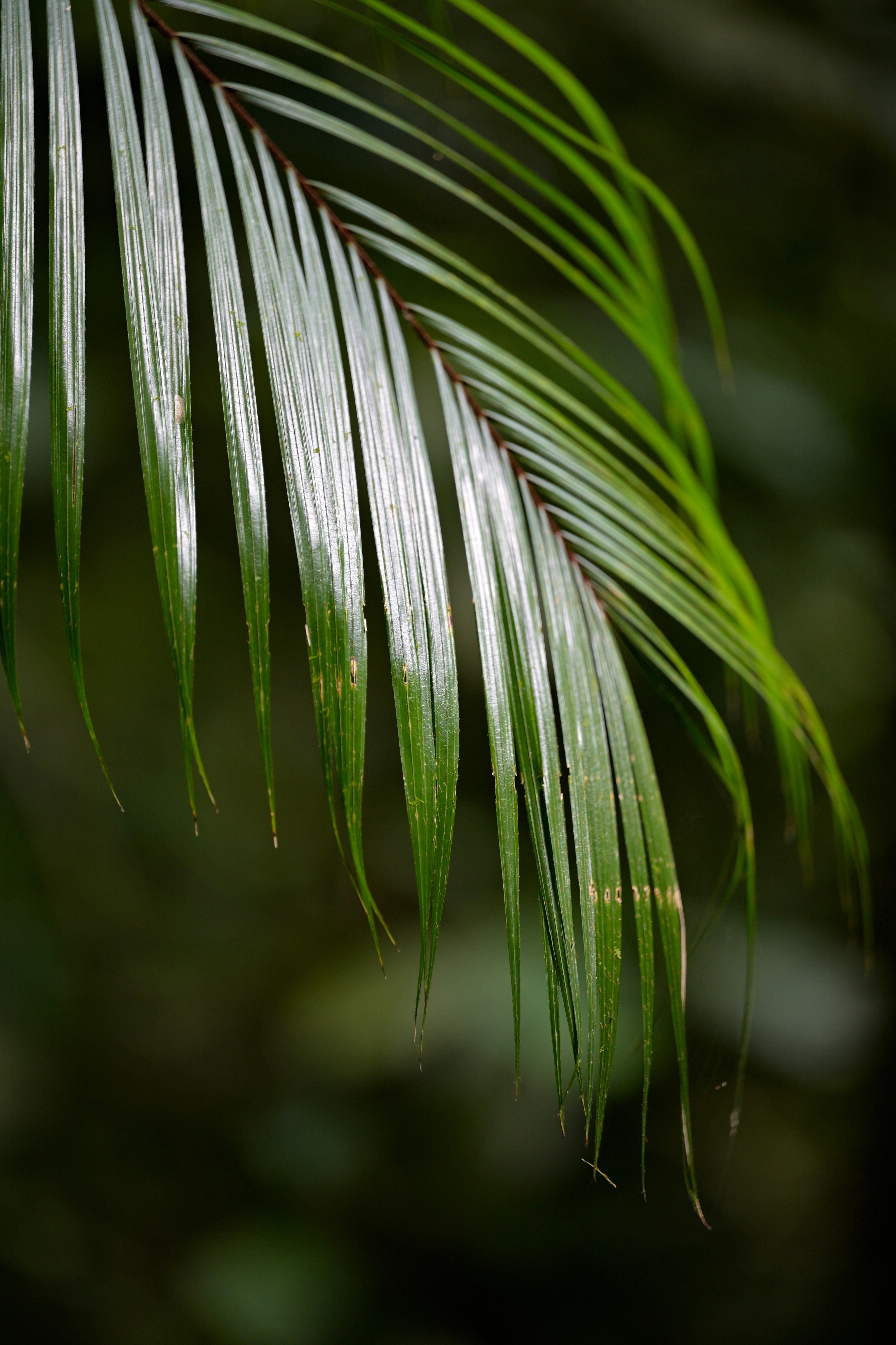 Photo by jonathankslim