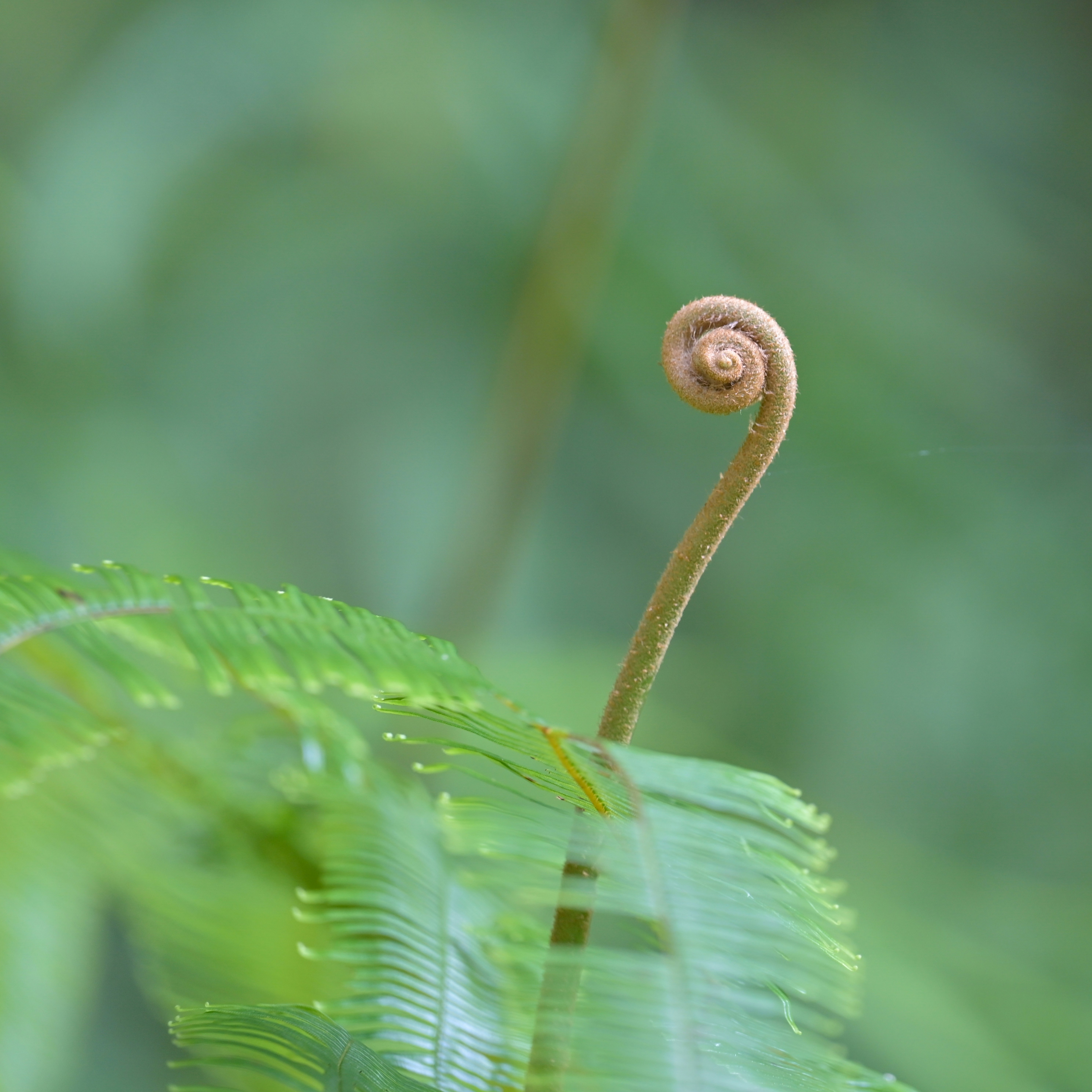 Photo by jonathankslim