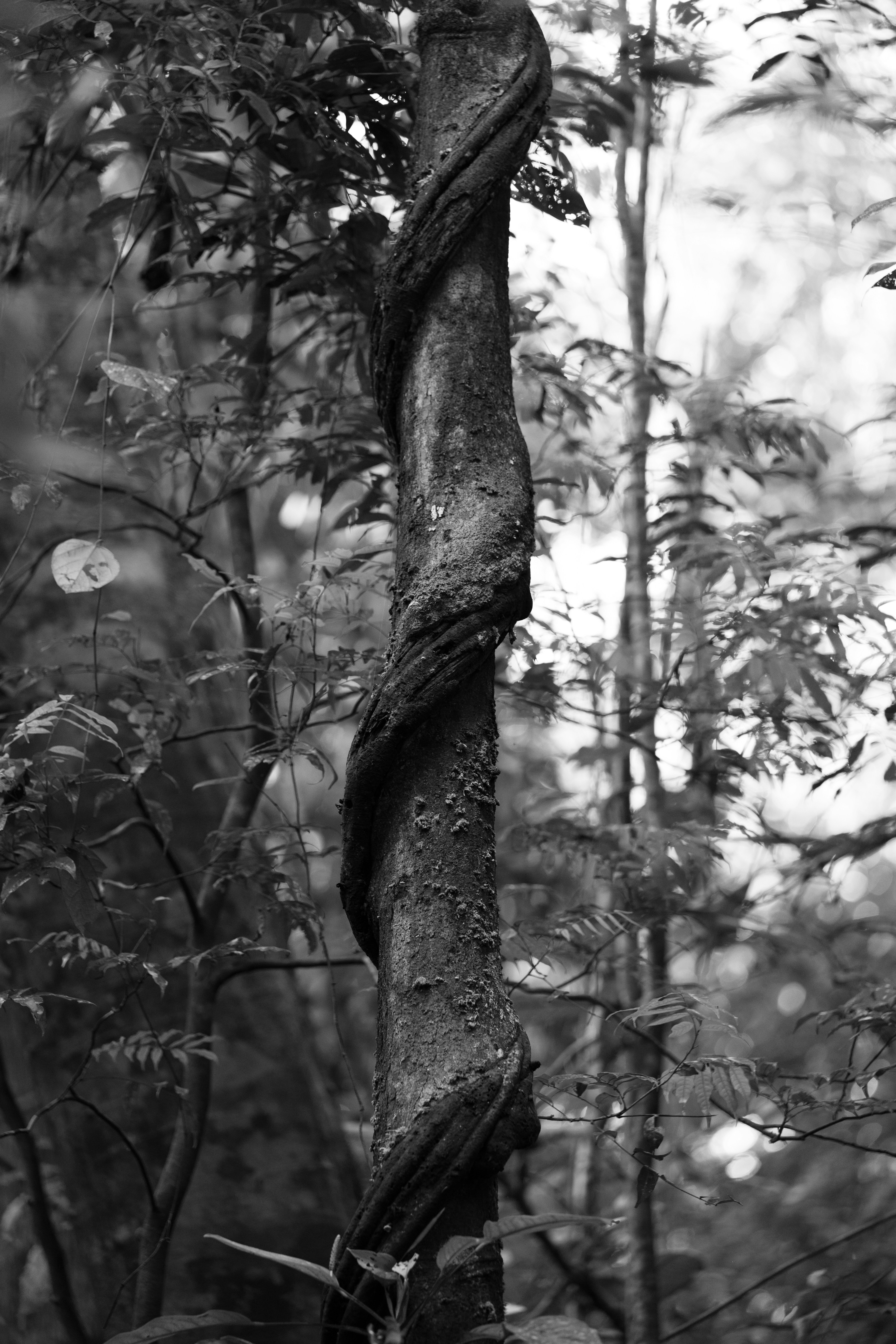 Photo by jonathankslim