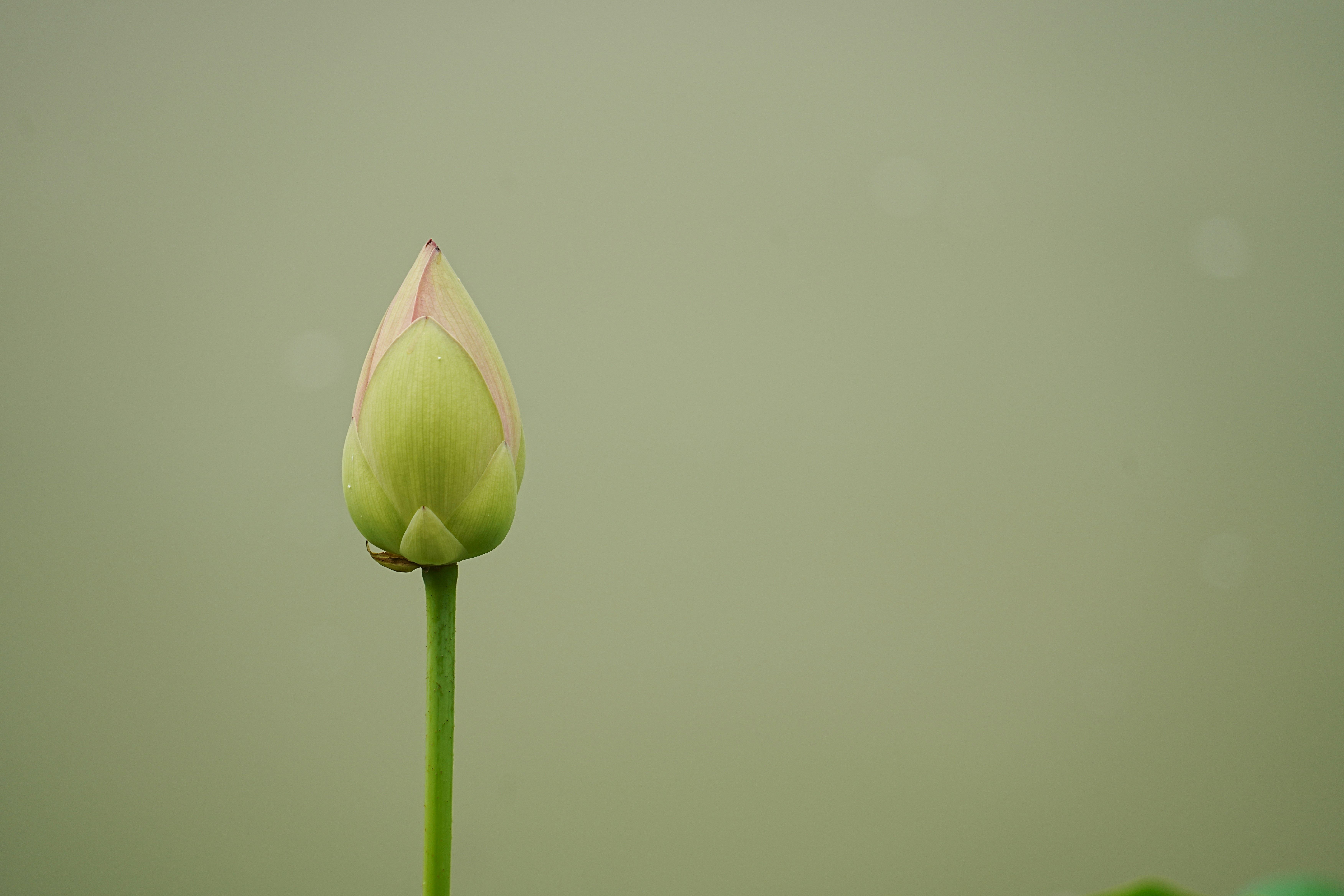 Les bénéfices de bien-être