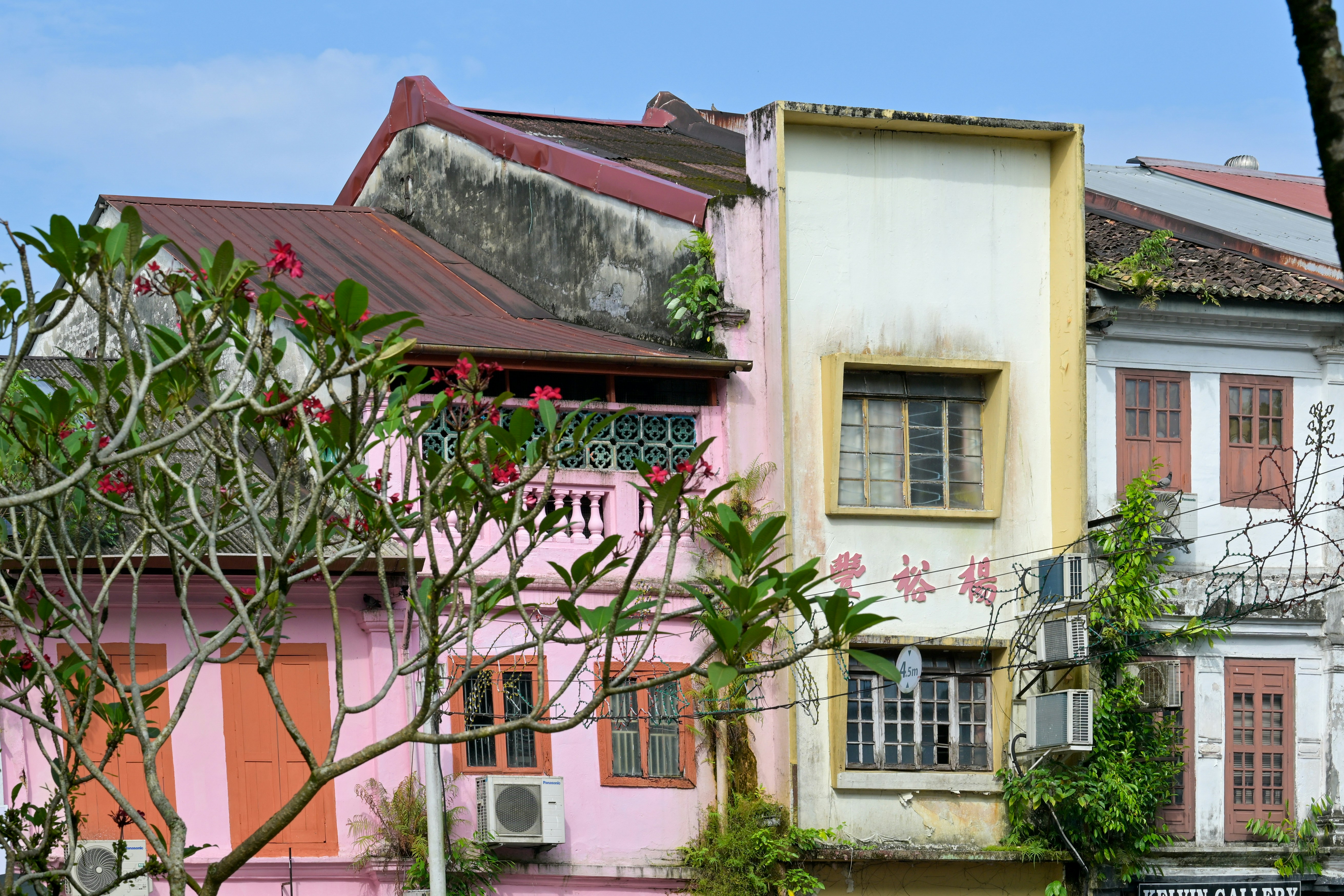 Photo by jonathankslim