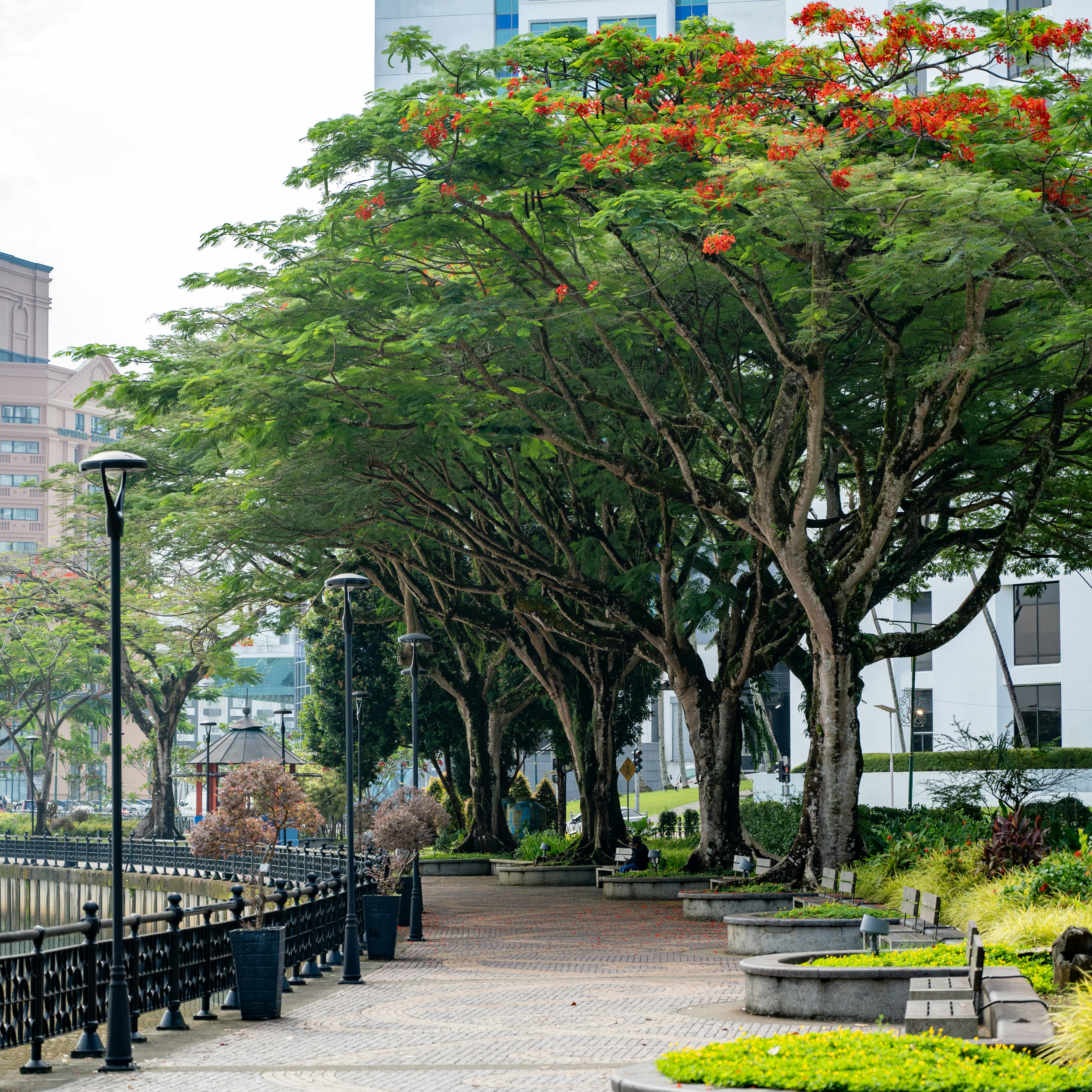 Photo by jonathankslim