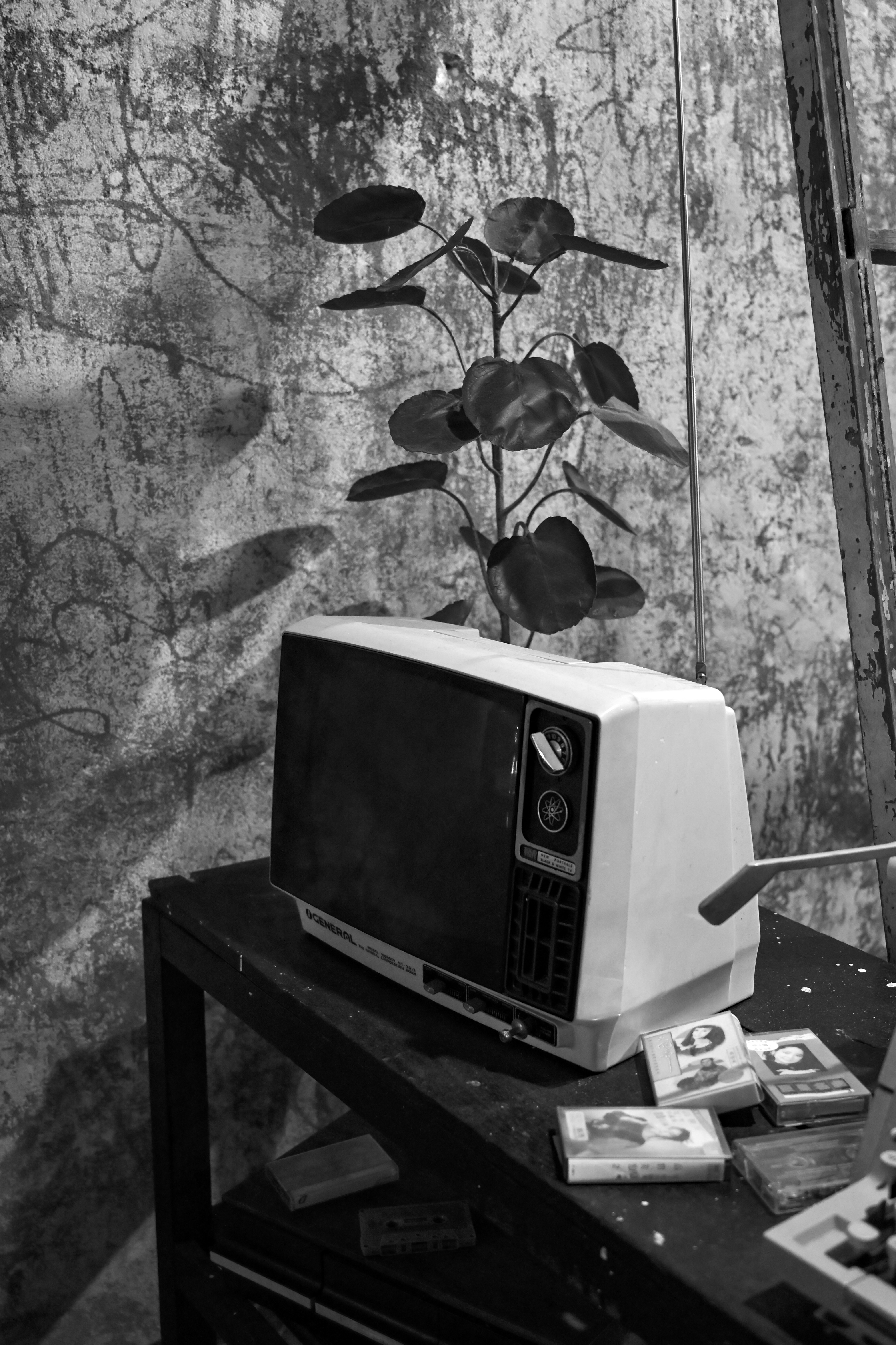 Photo by jonathankslim