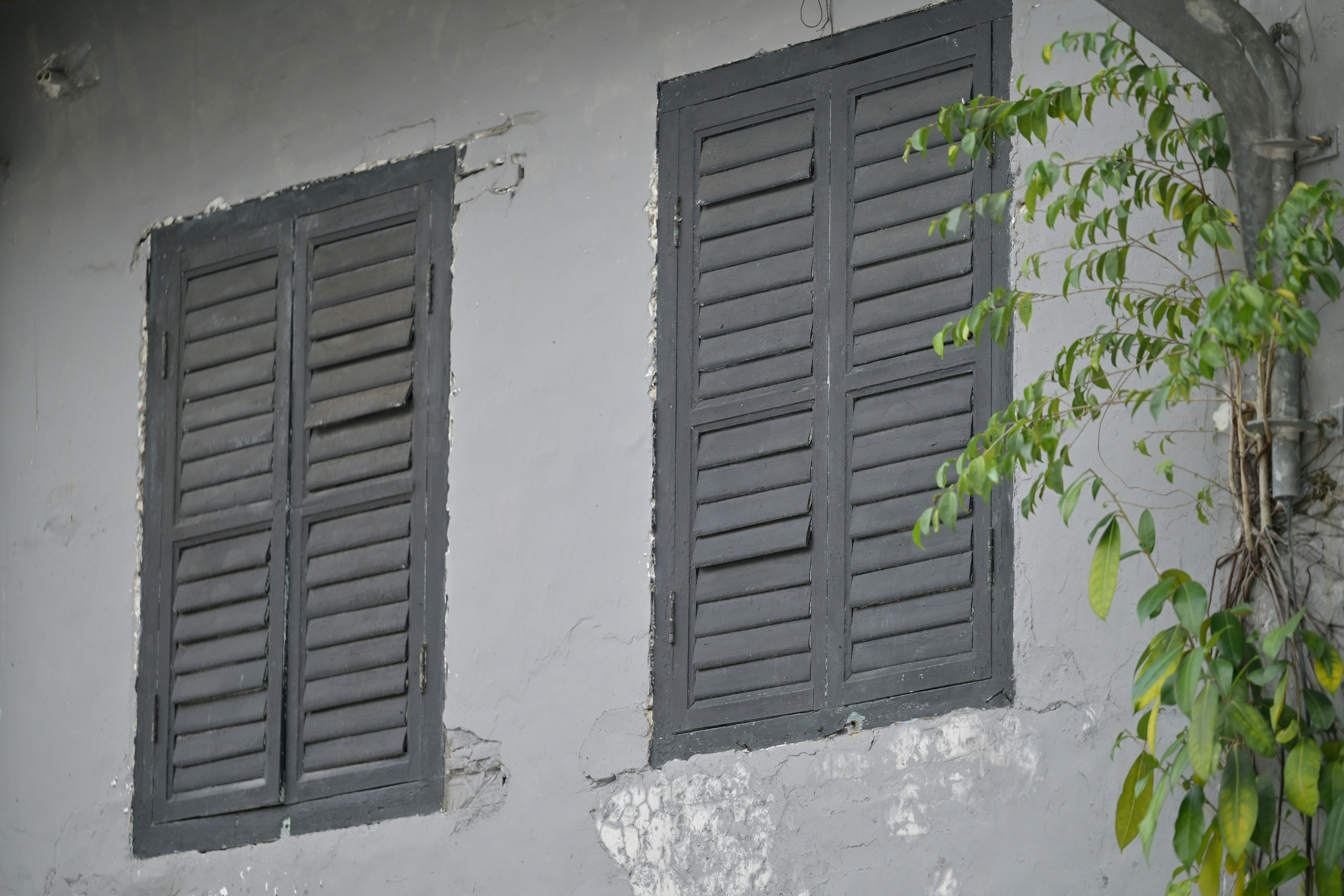 Photo by jonathankslim