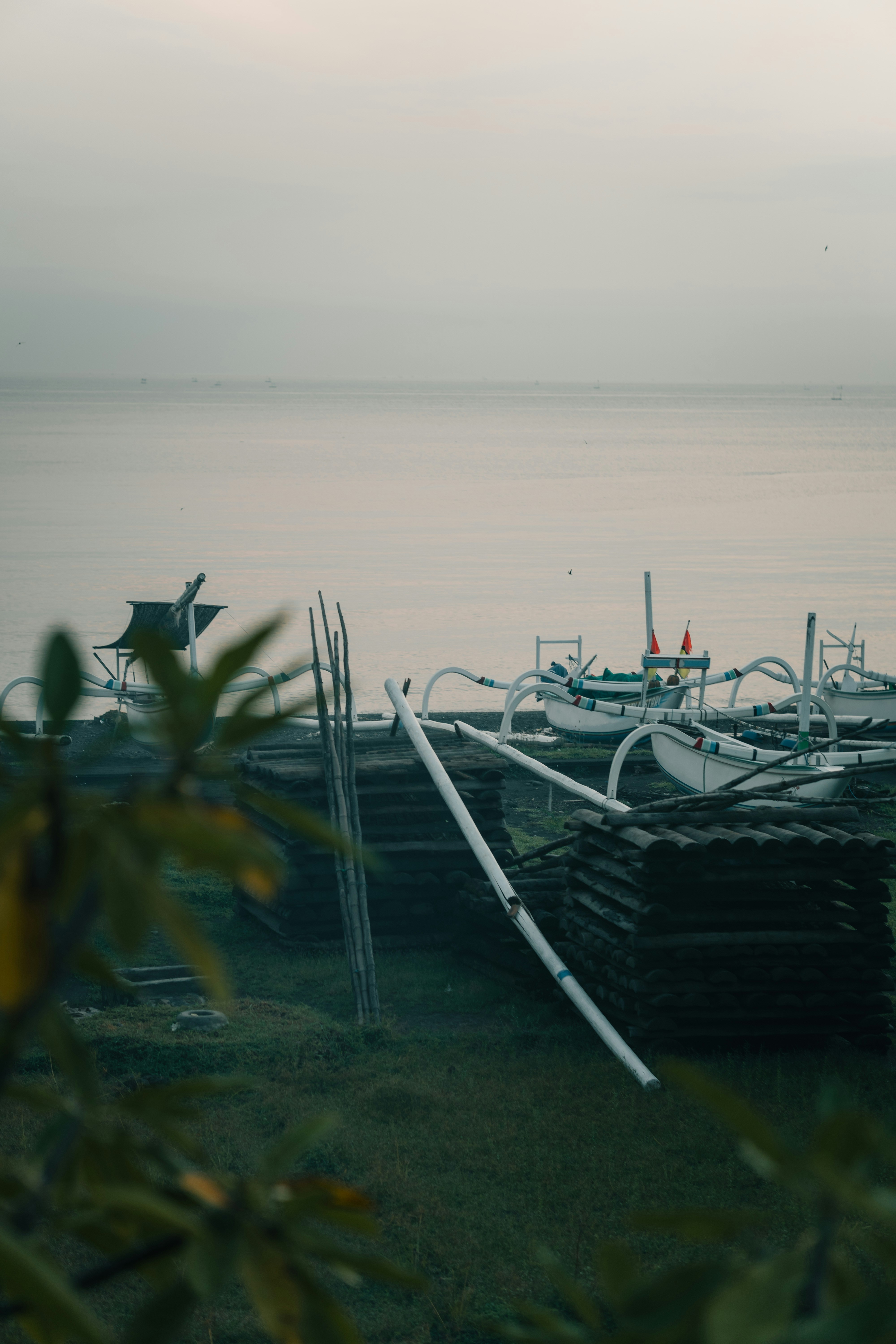 Photo by pauliusidea