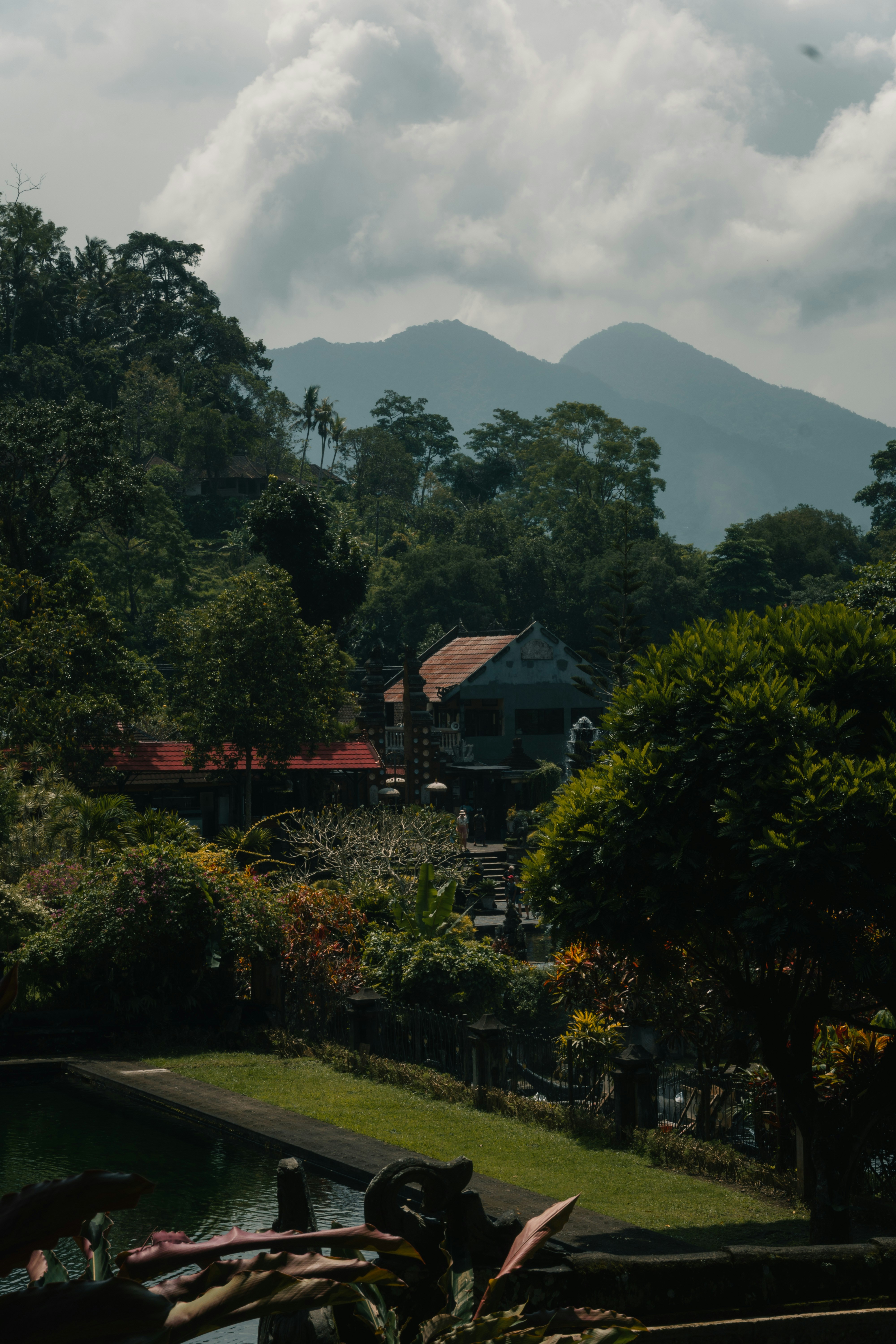 Manado's Bunaken Marine Park: How to Organise a Same-Day Boat Trip