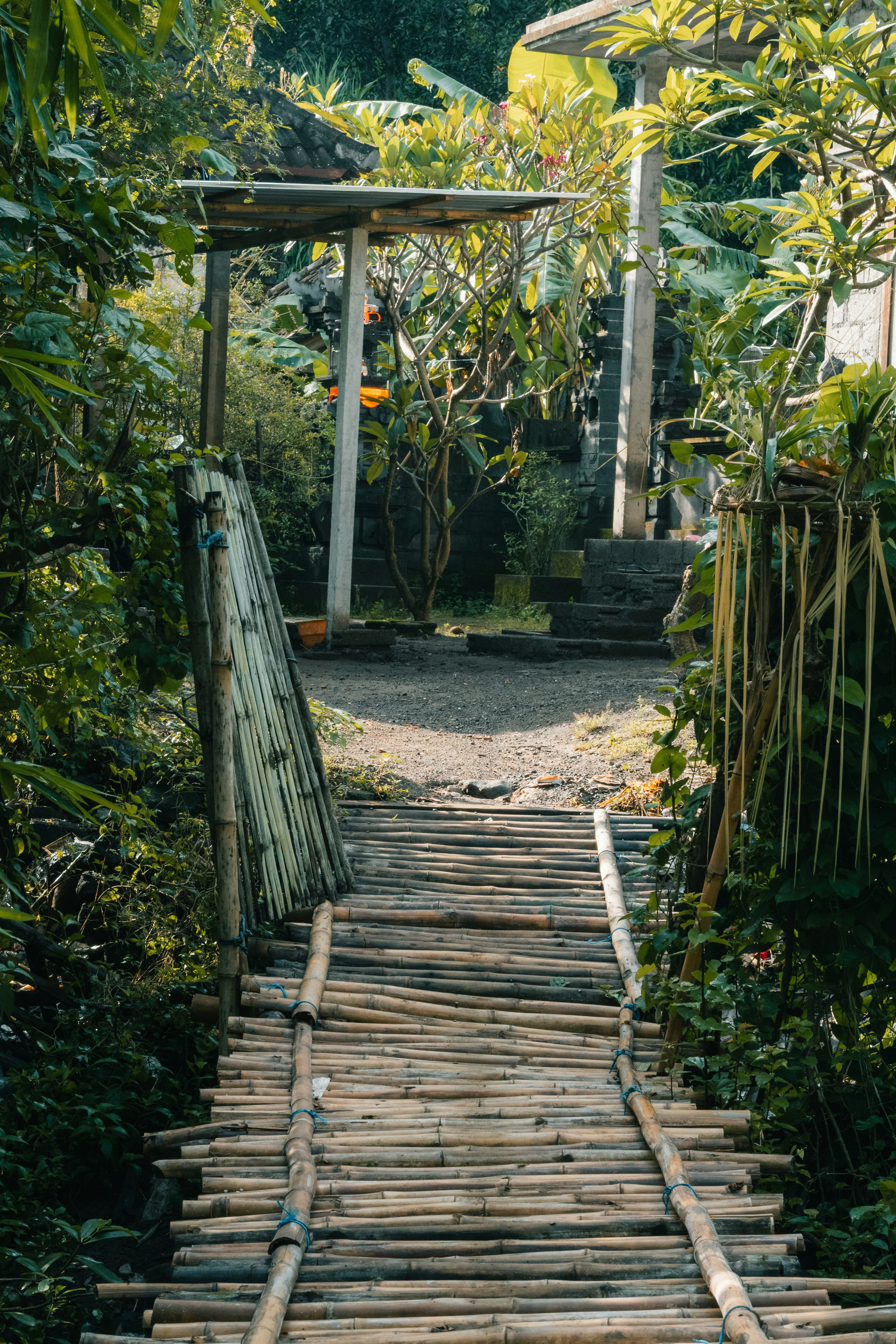 Photo by pauliusidea