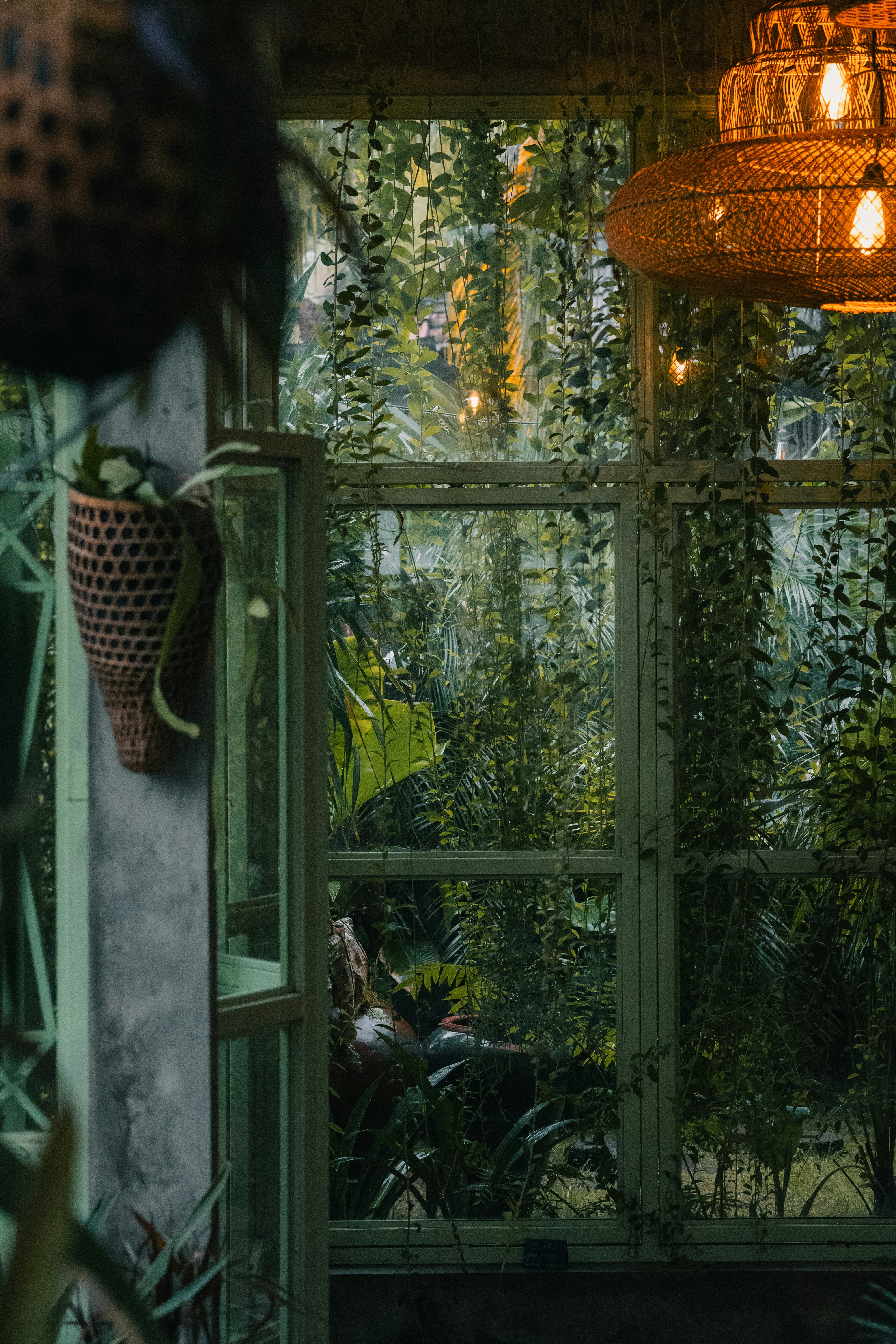 Photo by pauliusidea