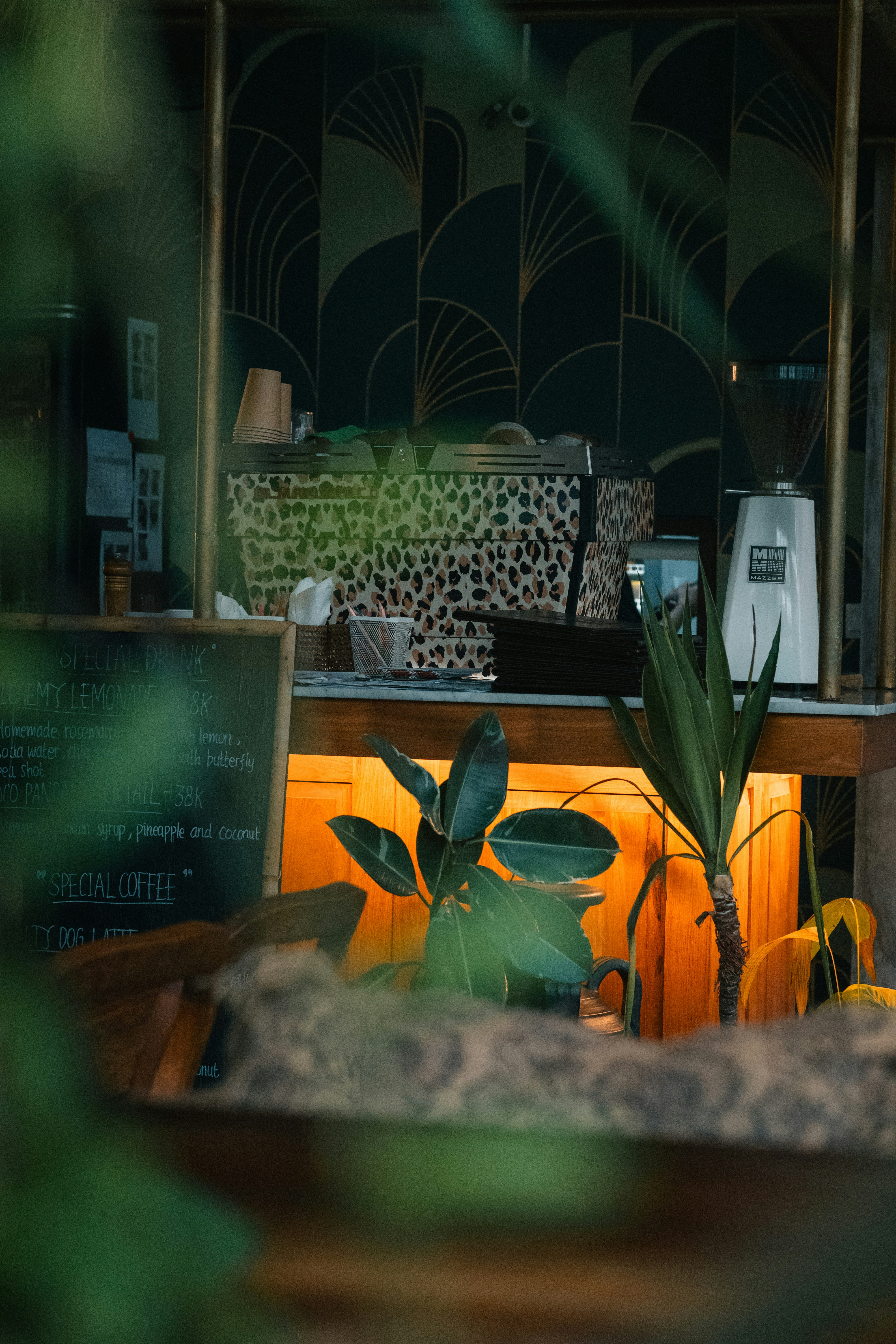 Photo by pauliusidea