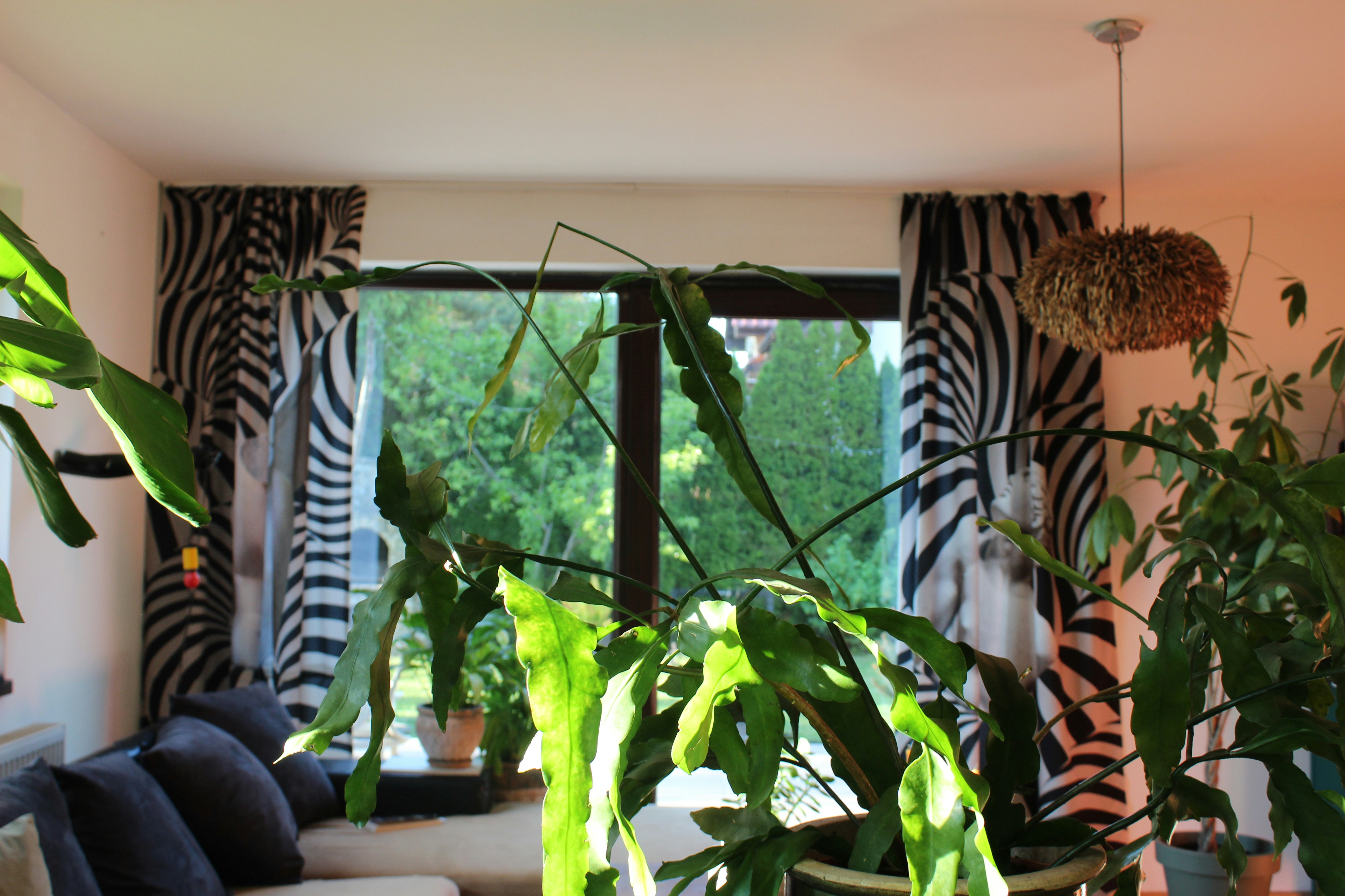 Photo by okolicznosci