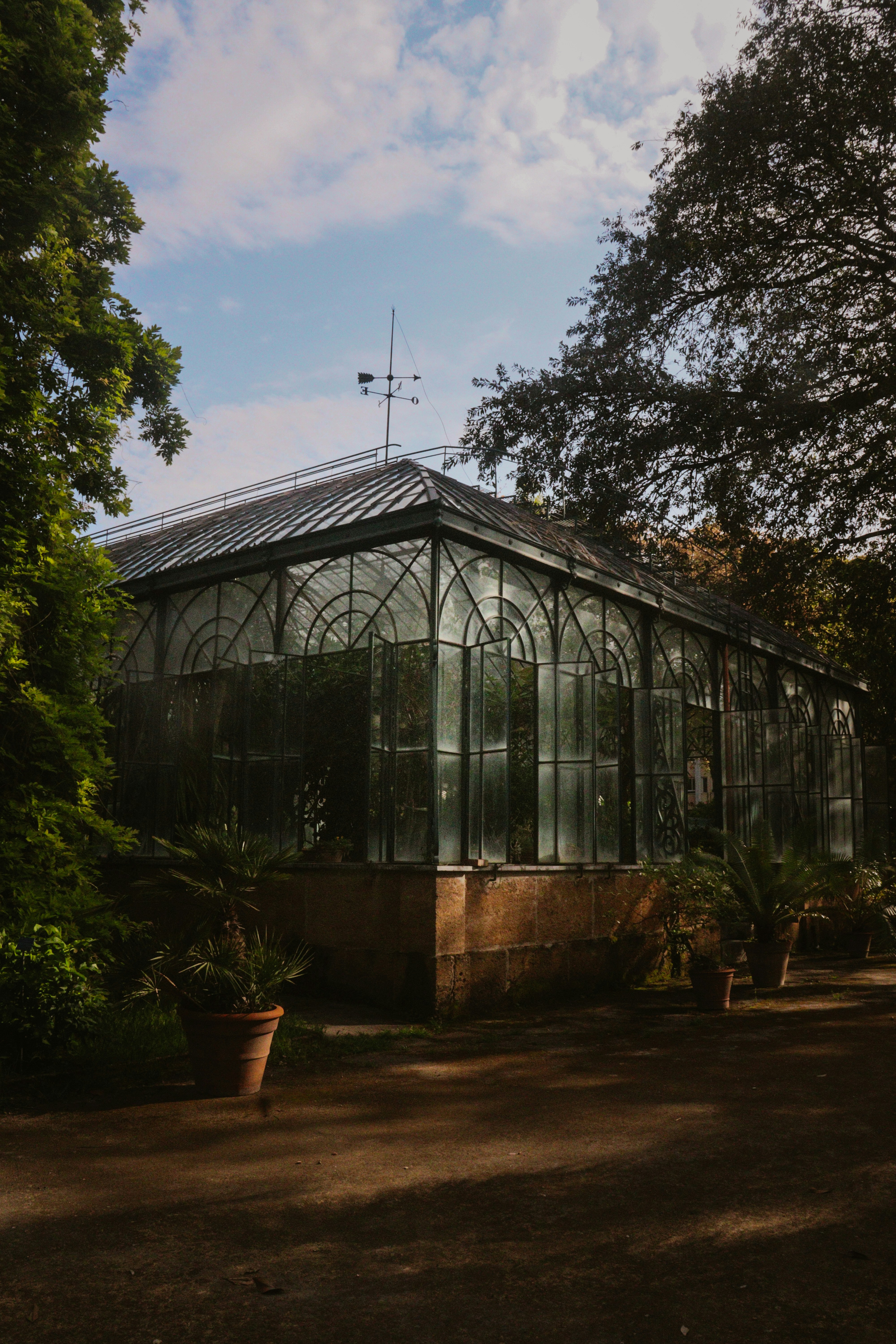 A glass greenhouse stands amongst lush foliage.