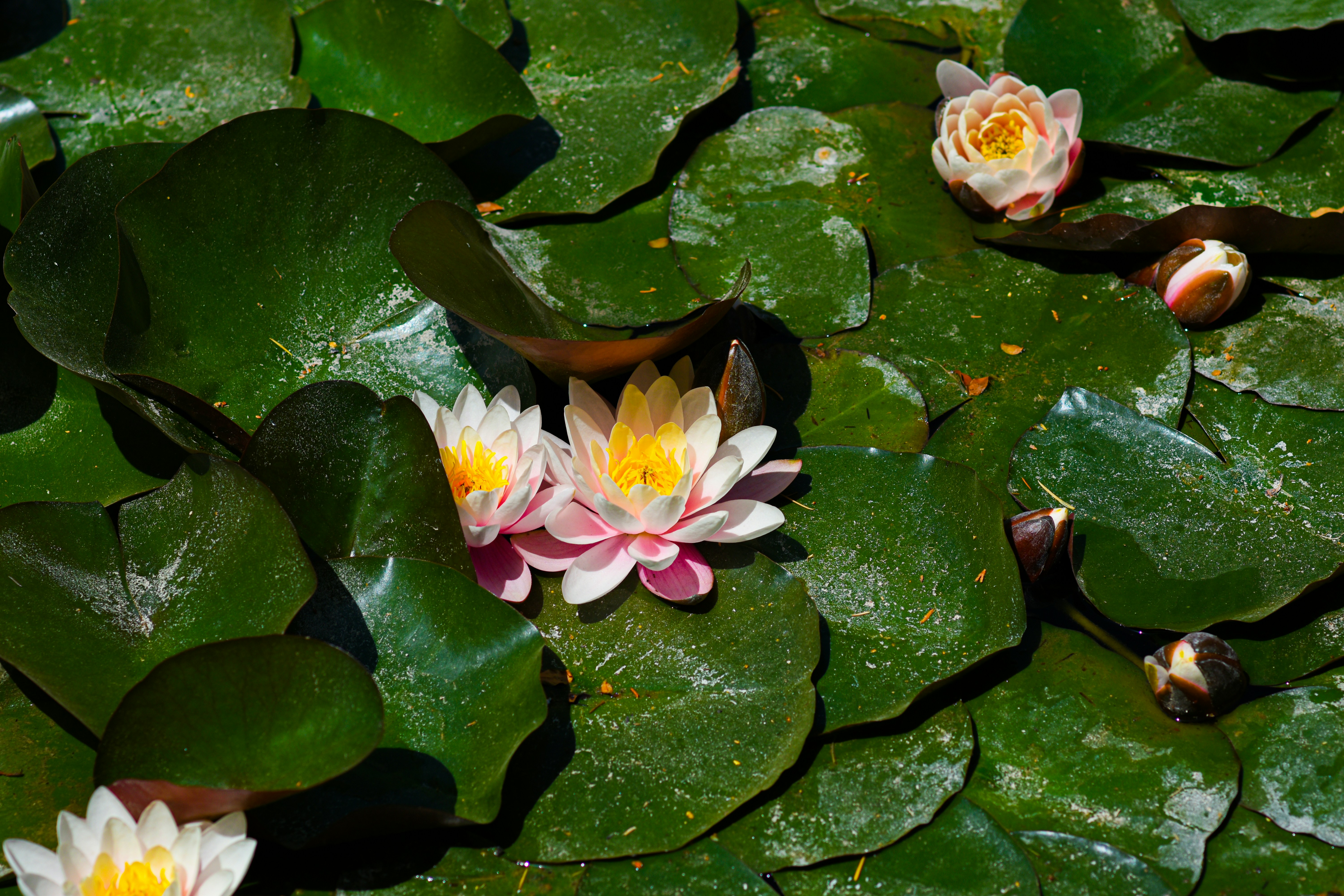 Photo by niloufar1996