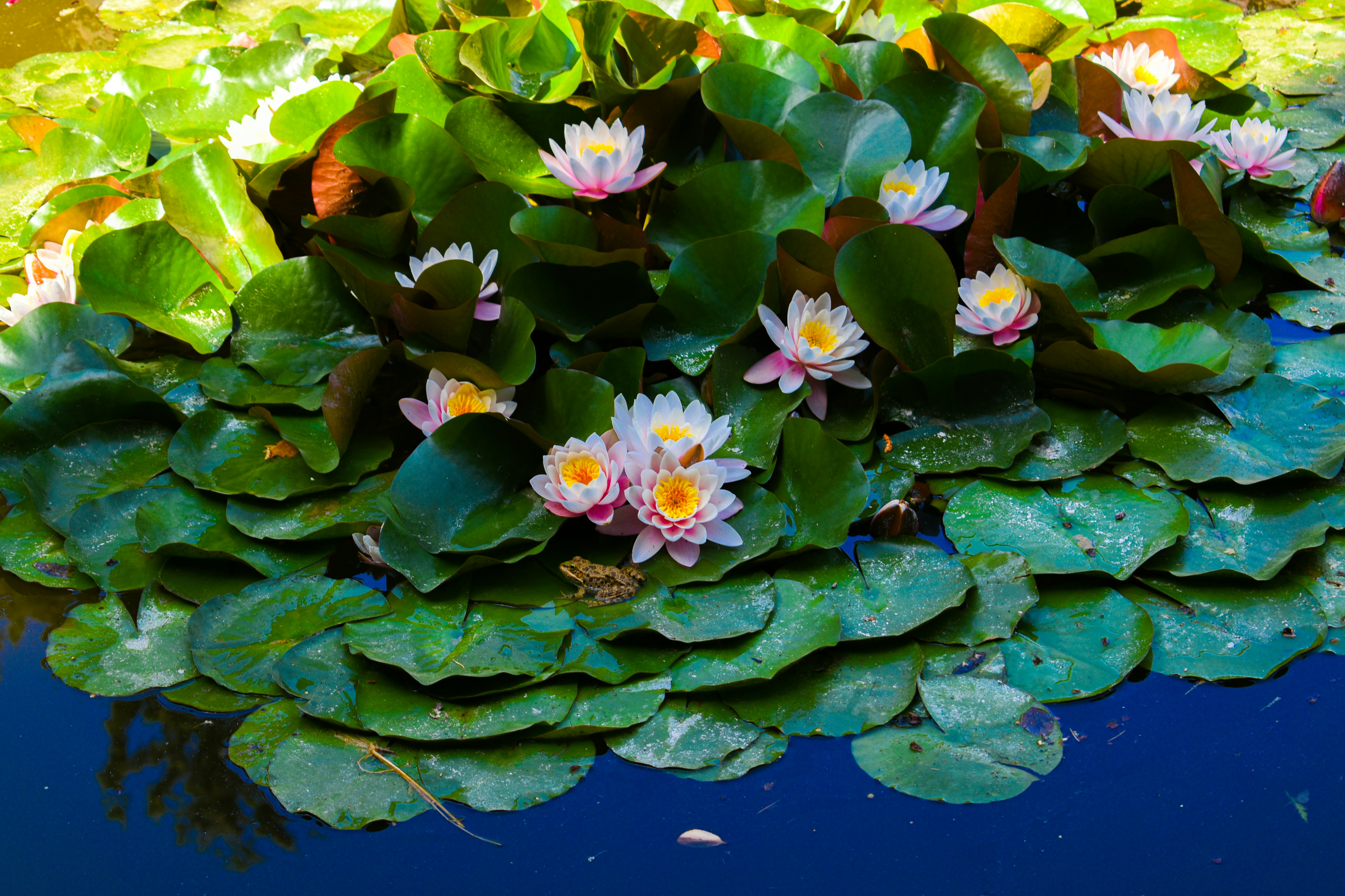 Photo by niloufar1996