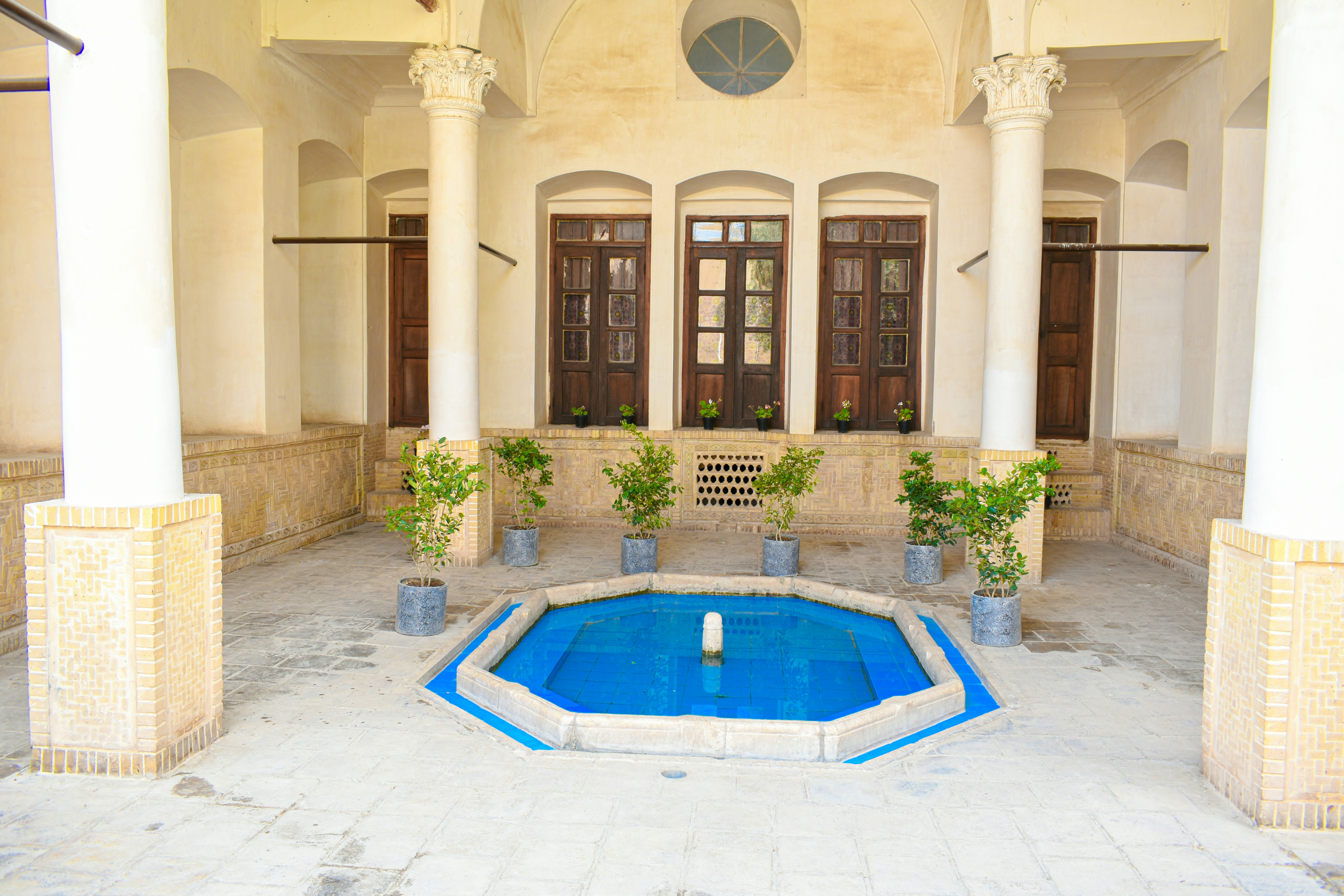 Photo by niloufar1996