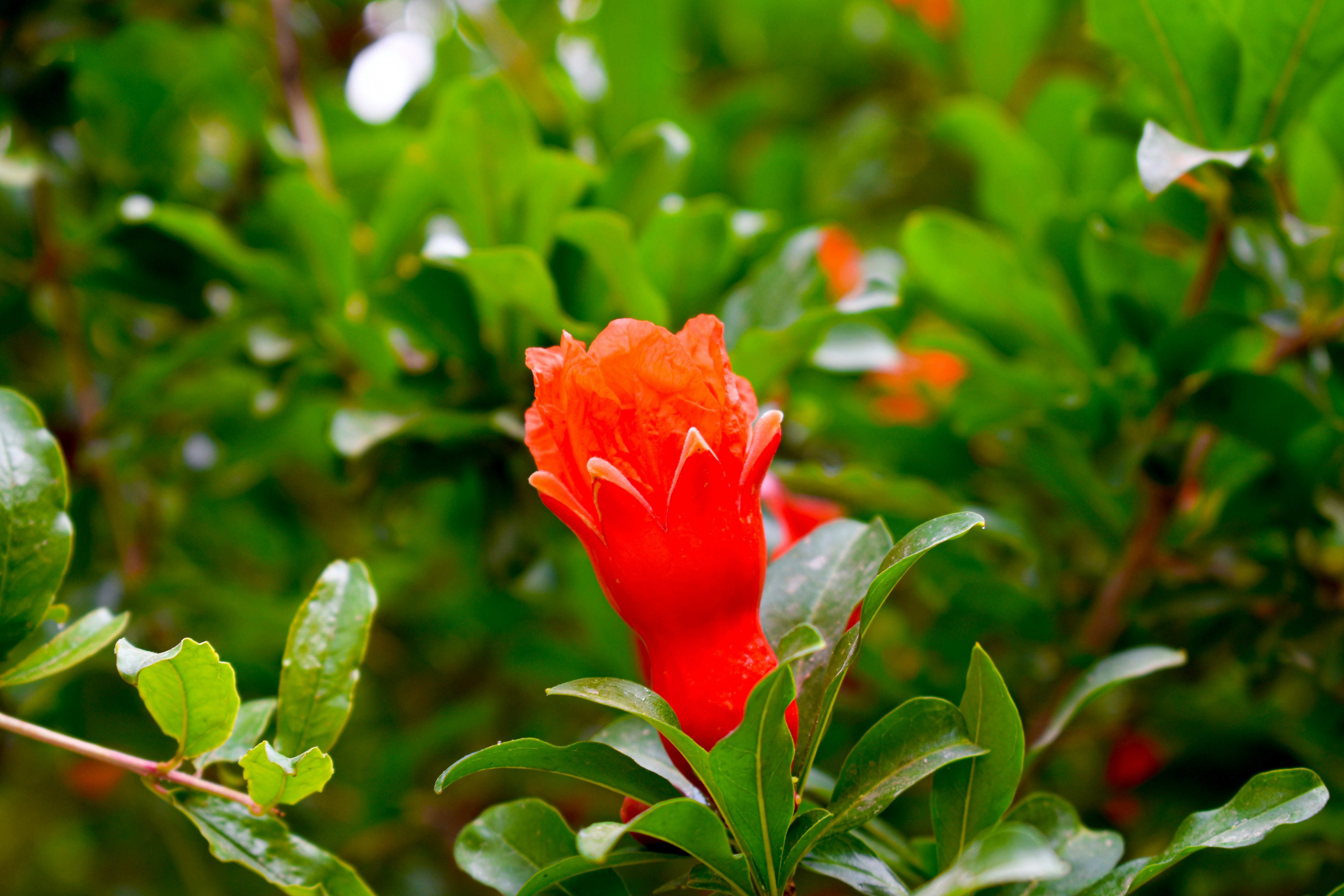 Photo by niloufar1996