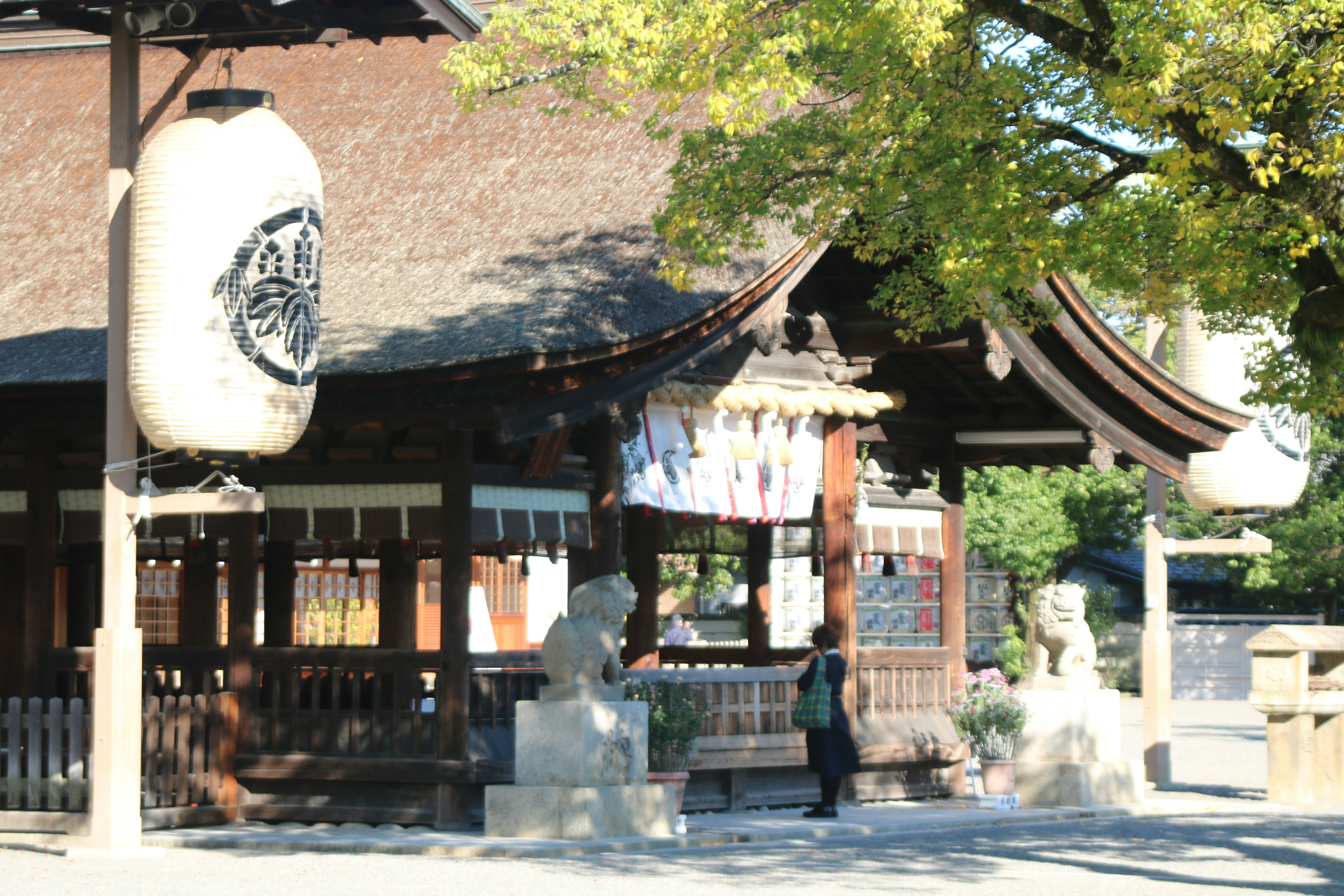 A japanese temple is seen with a large lantern.