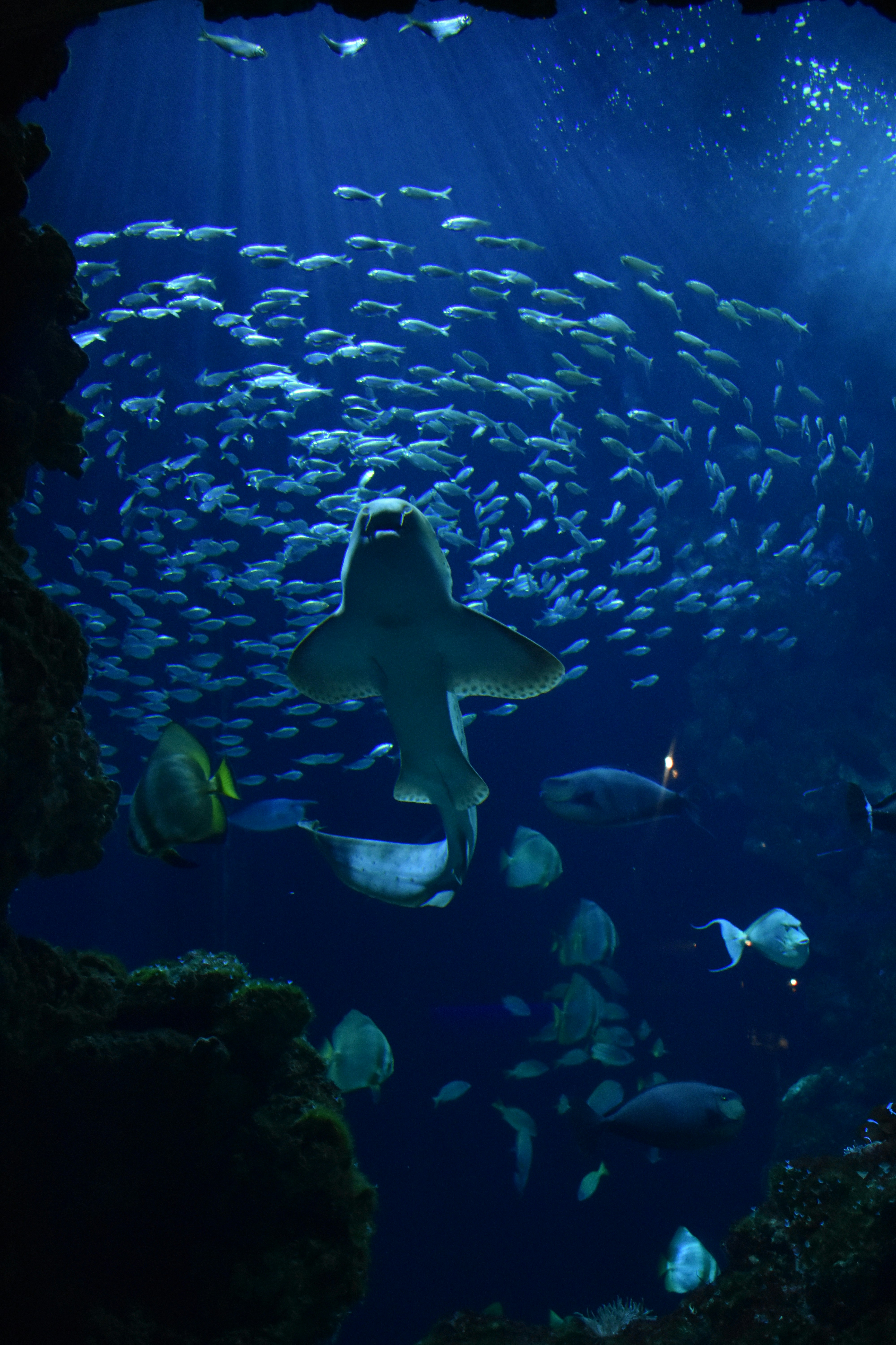 Photo by liloudeniau