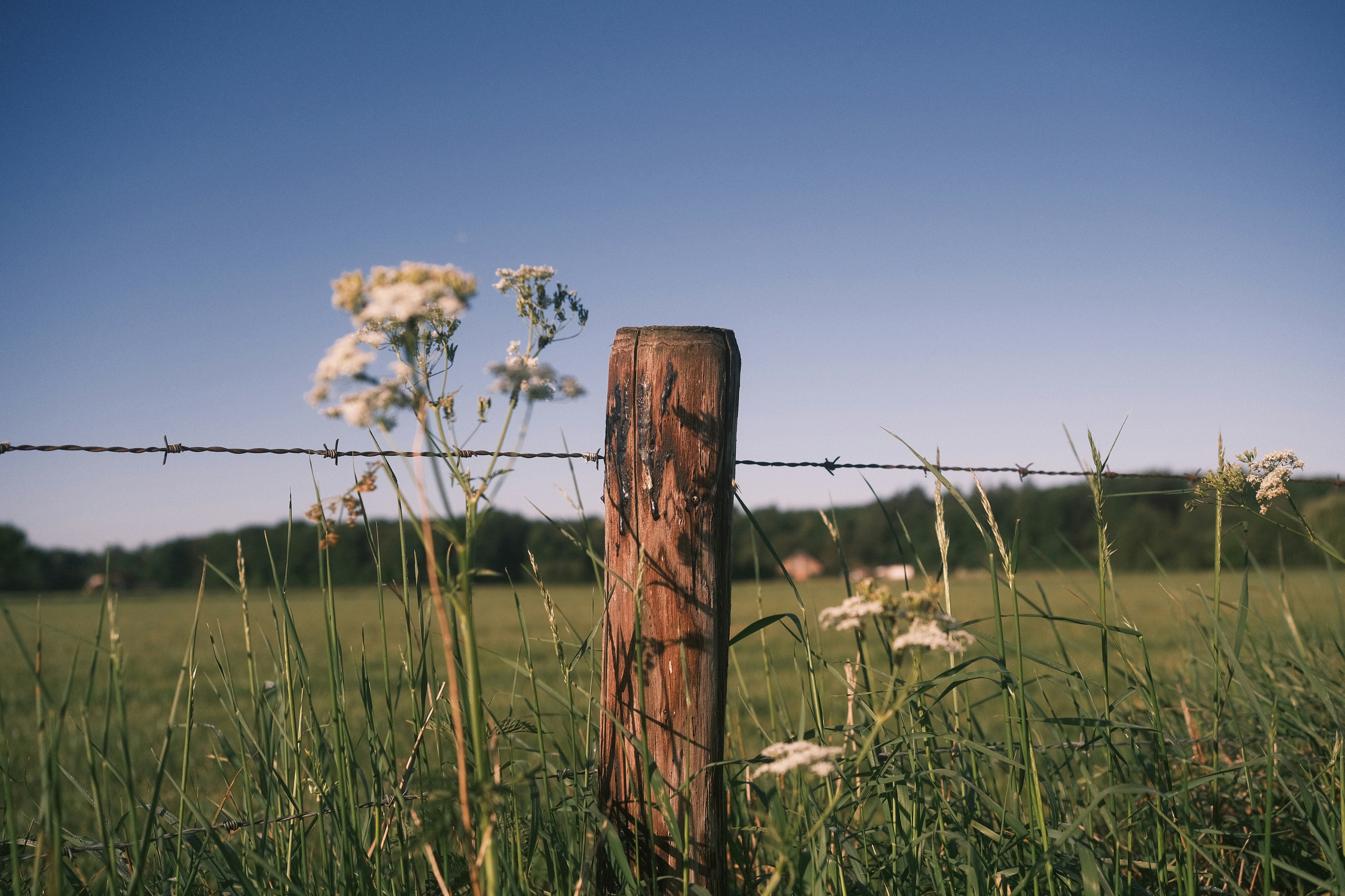 Photo by visualsbying