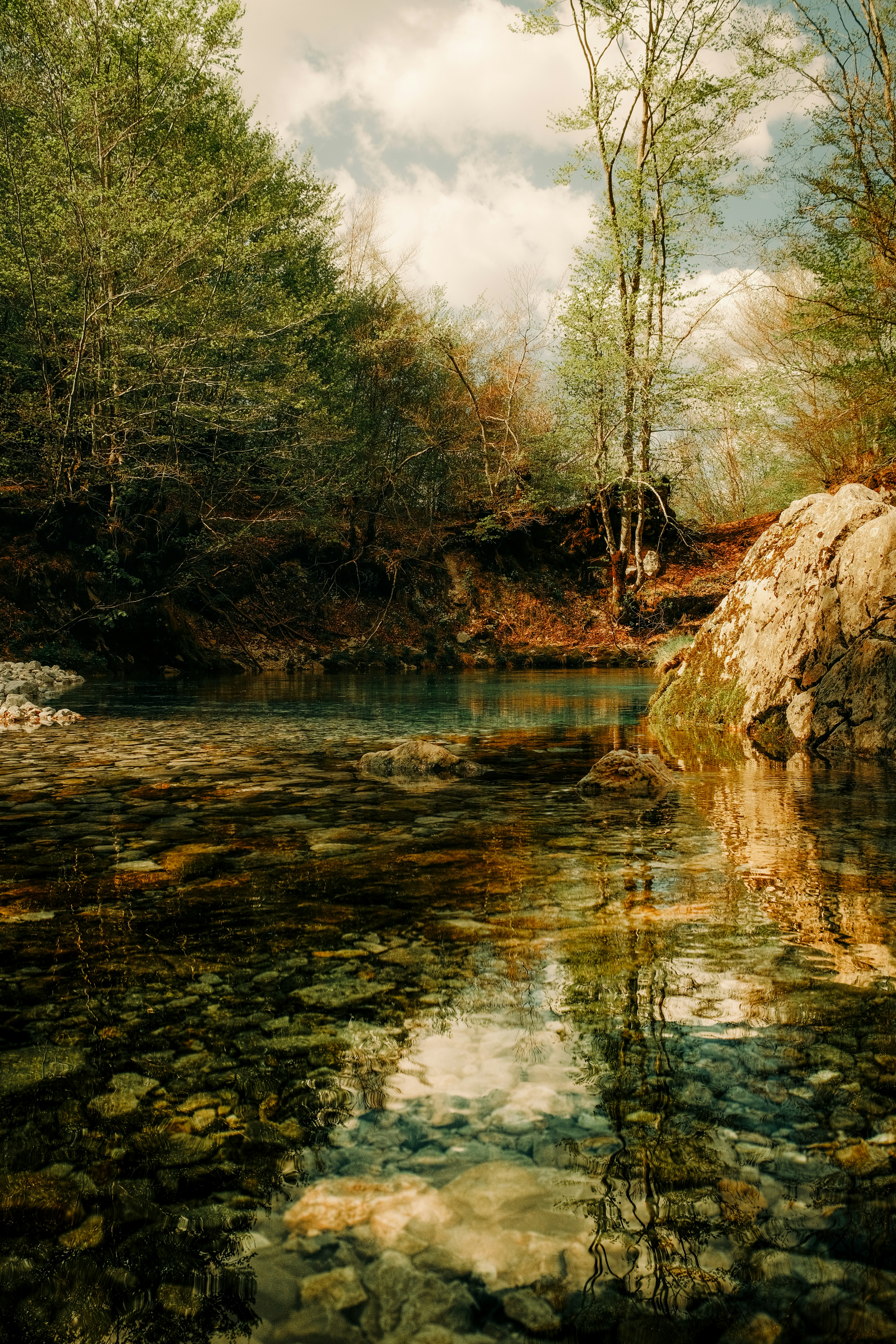 A clear stream reflects the trees and sky. photo – Free Travel Image on ...