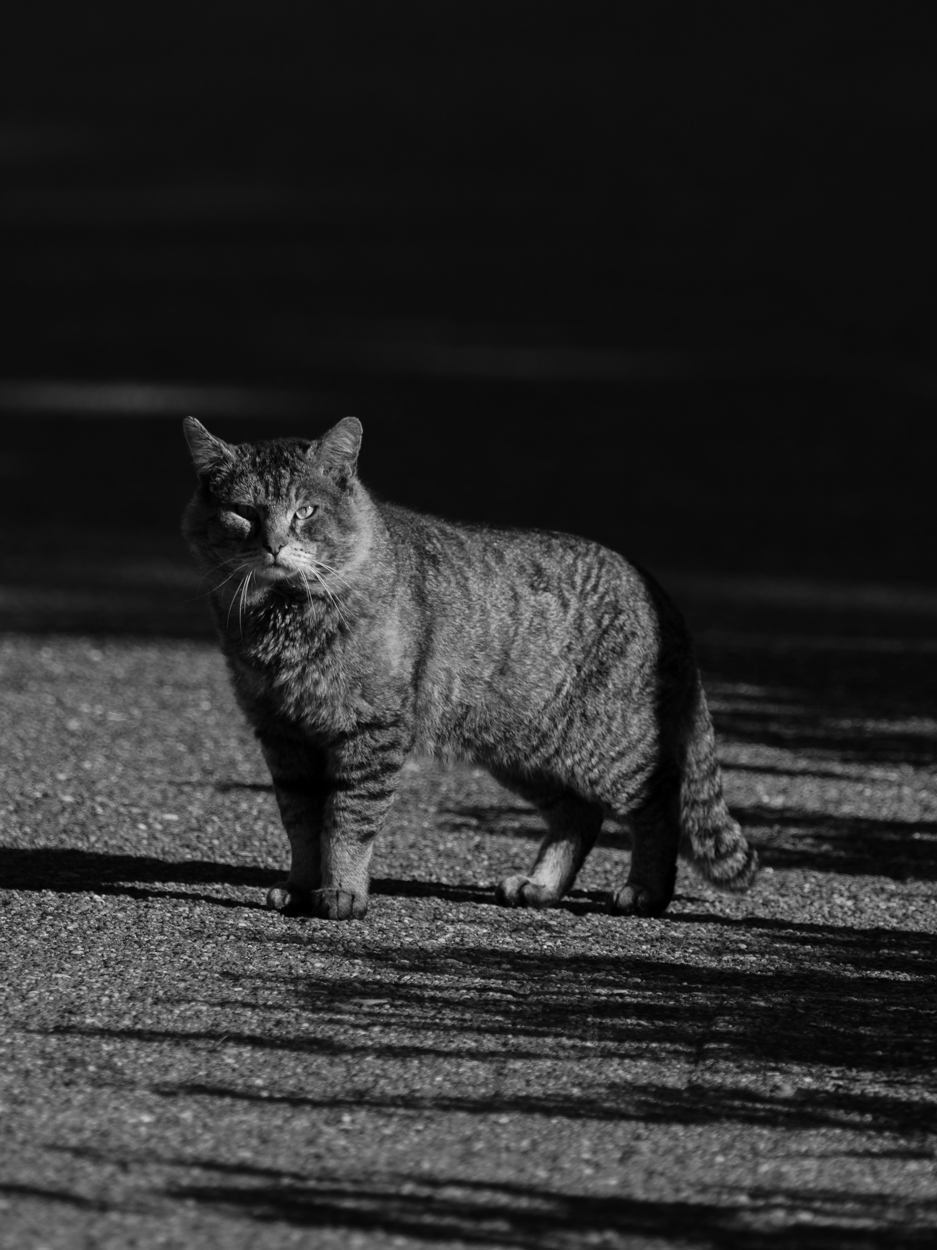 Photo by haberdoedas