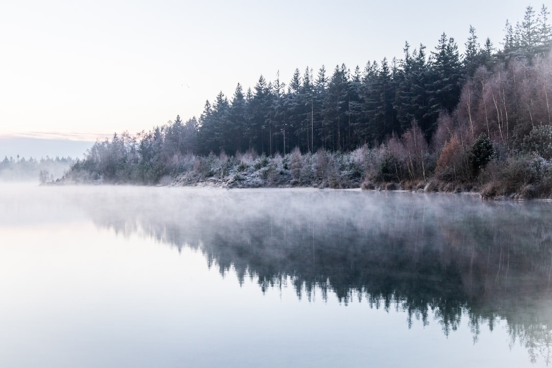 Mist shrouds the lake and trees, creating a serene reflection.