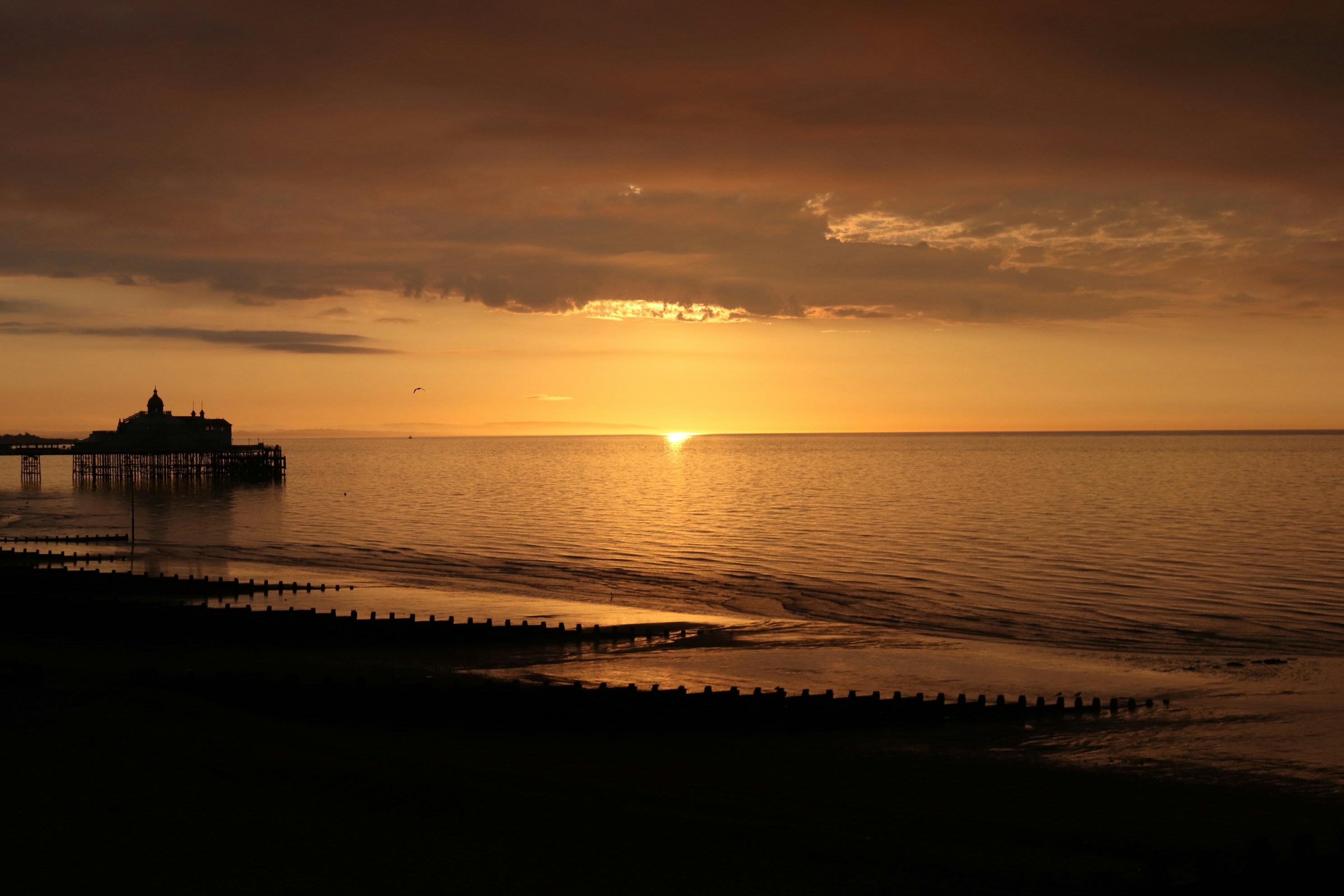 Photo by unsplash_112