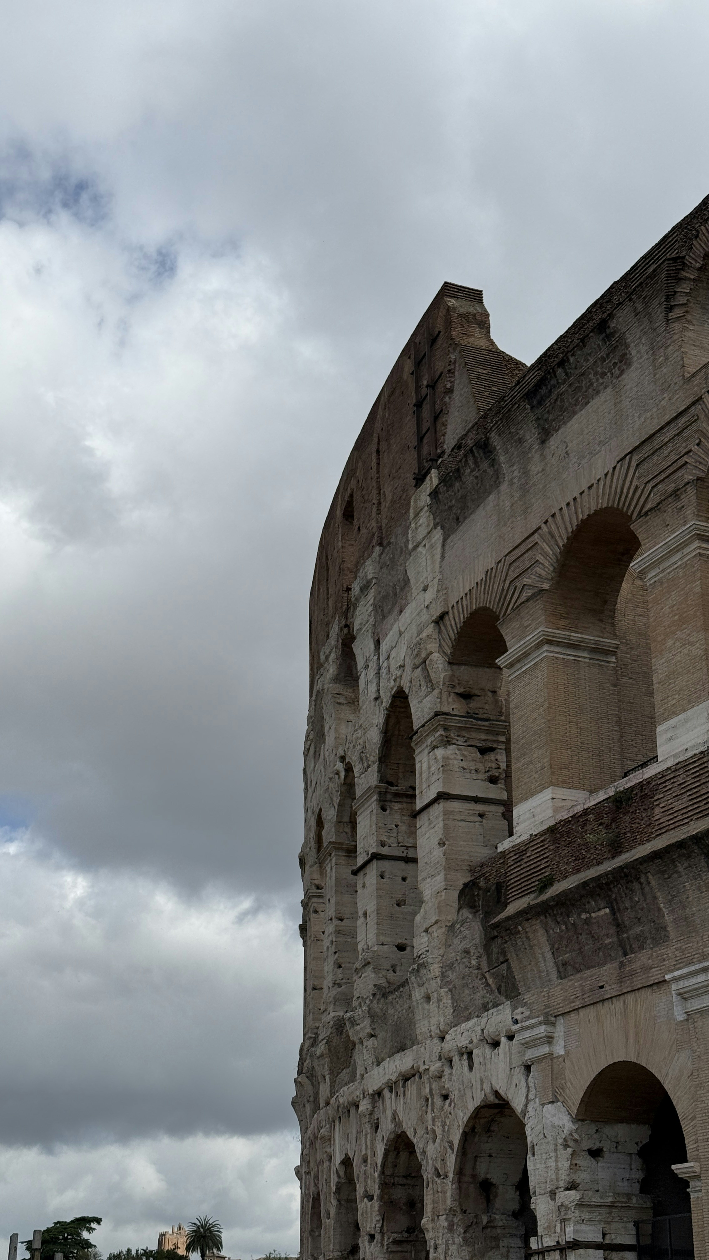 Photo by graciousgiragffe