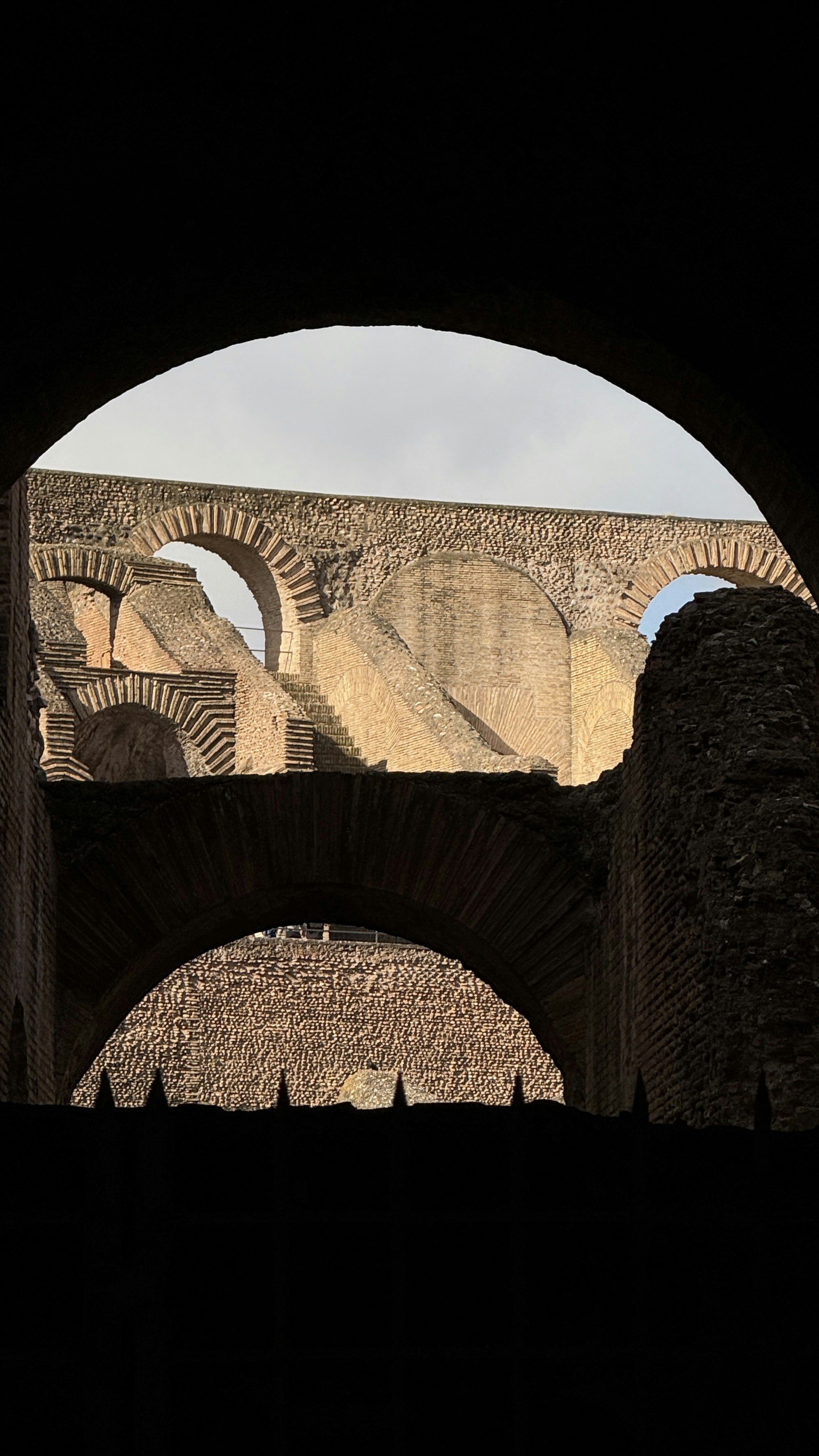 Photo by graciousgiragffe