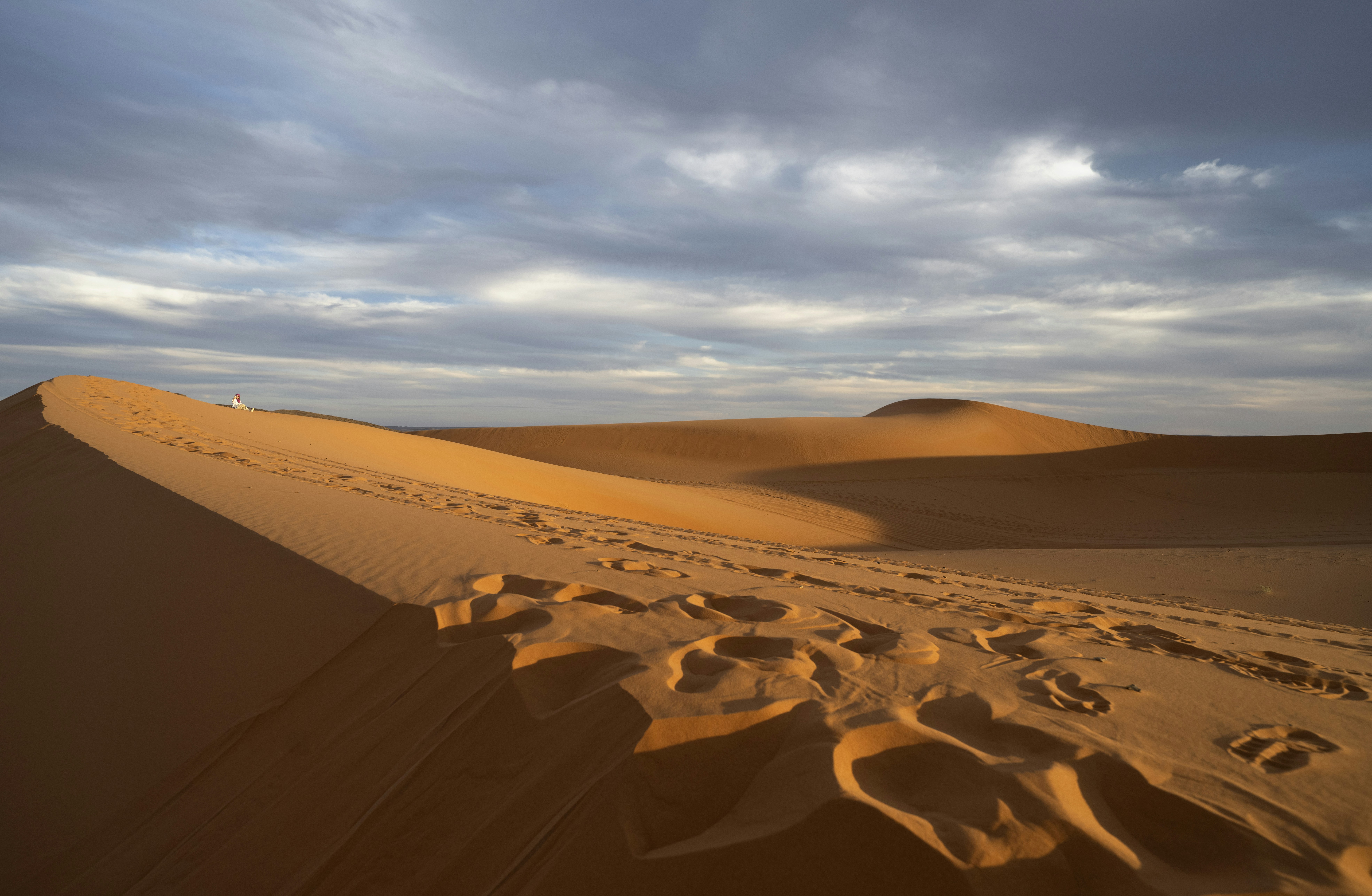 Photo by Dave Meckler