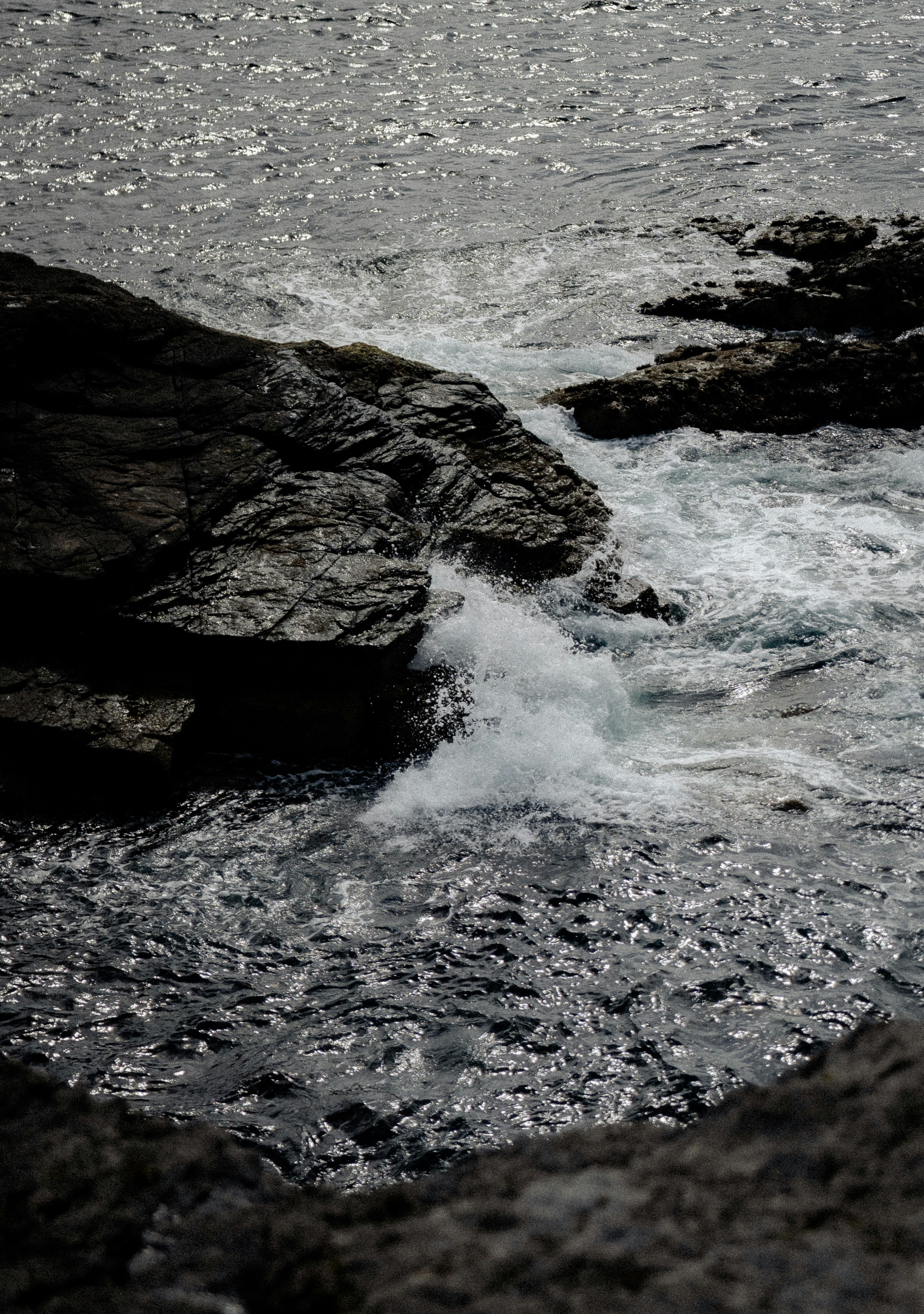 Photo by xandrovandewalle