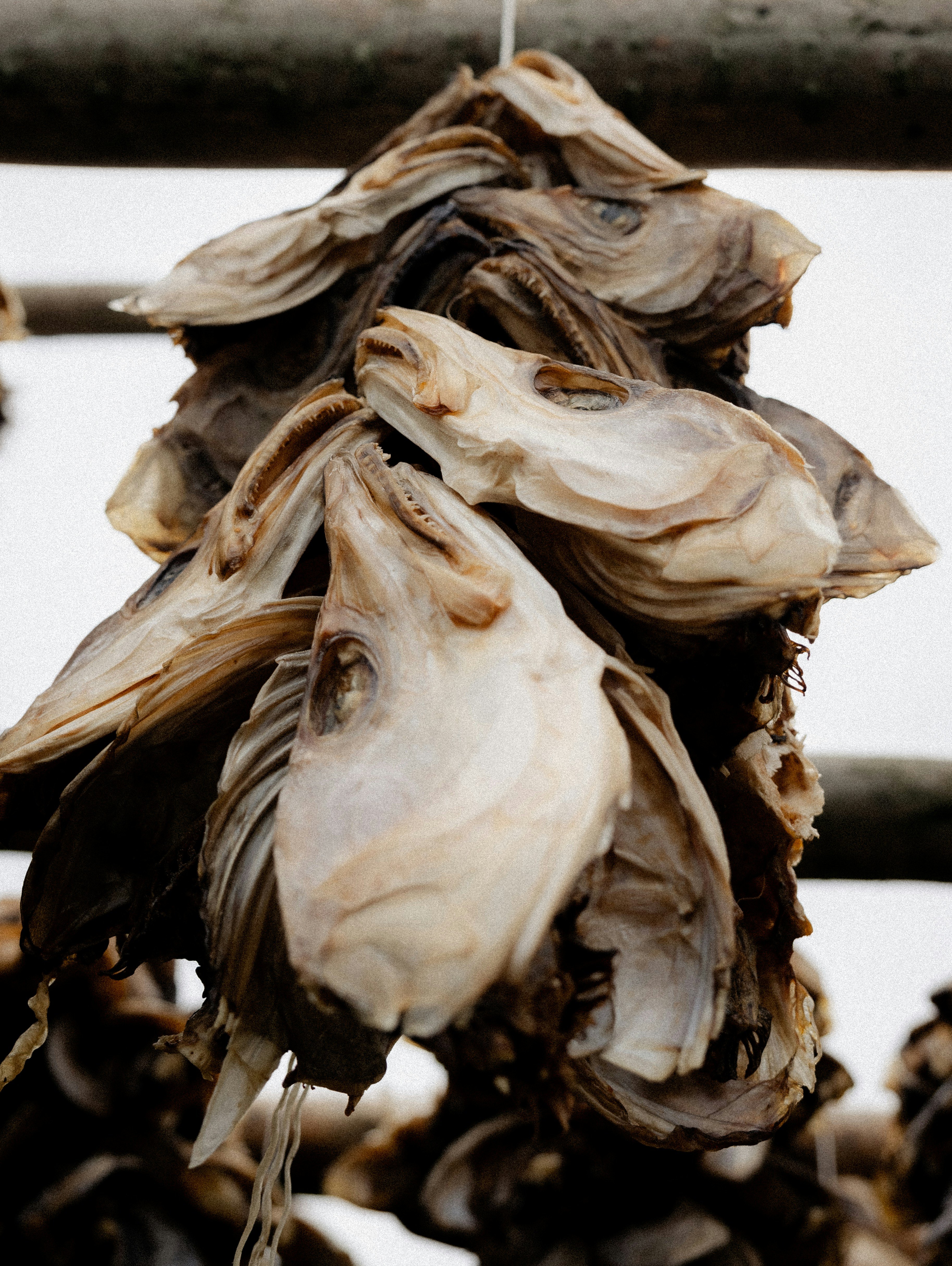 Photo by xandrovandewalle