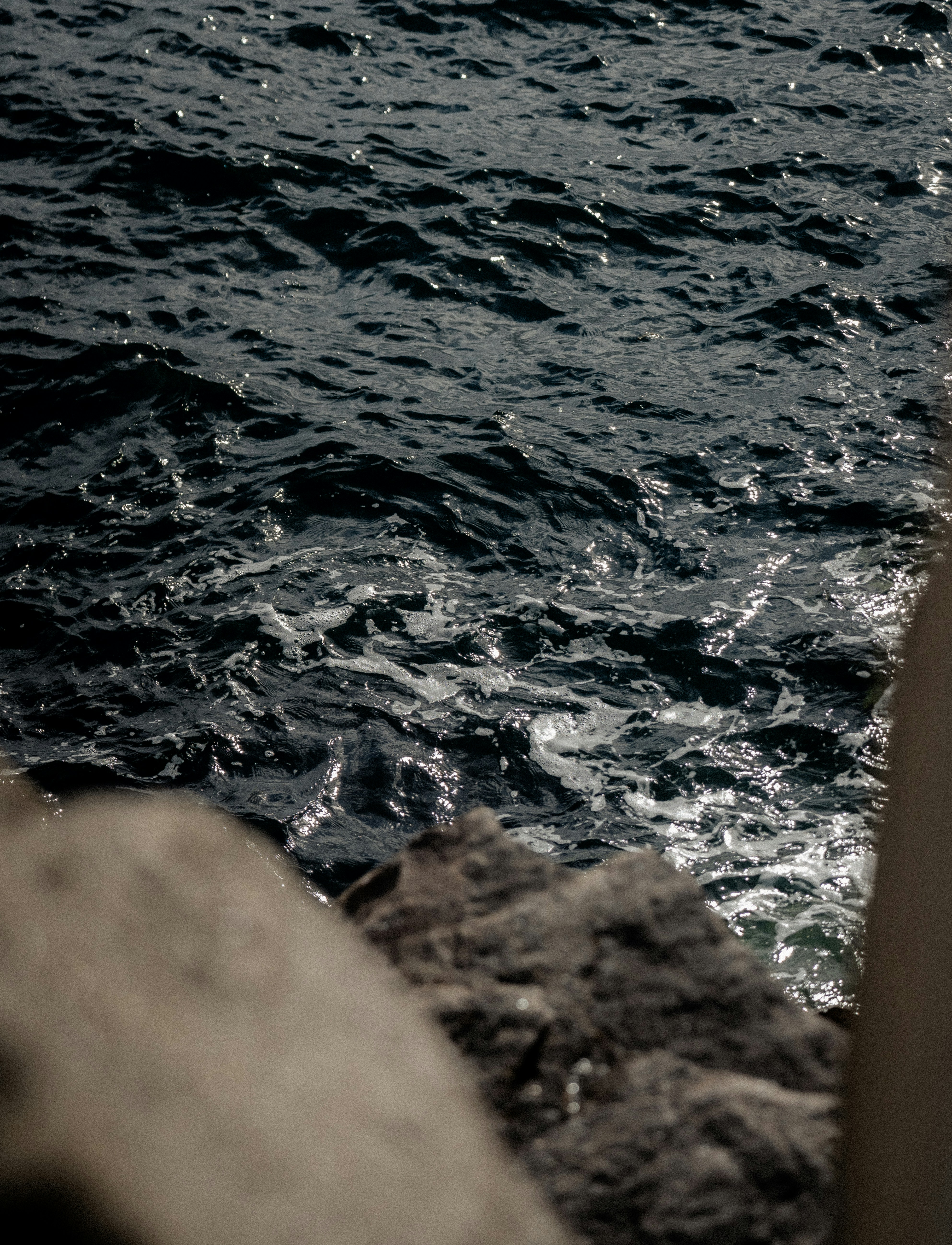 Photo by xandrovandewalle