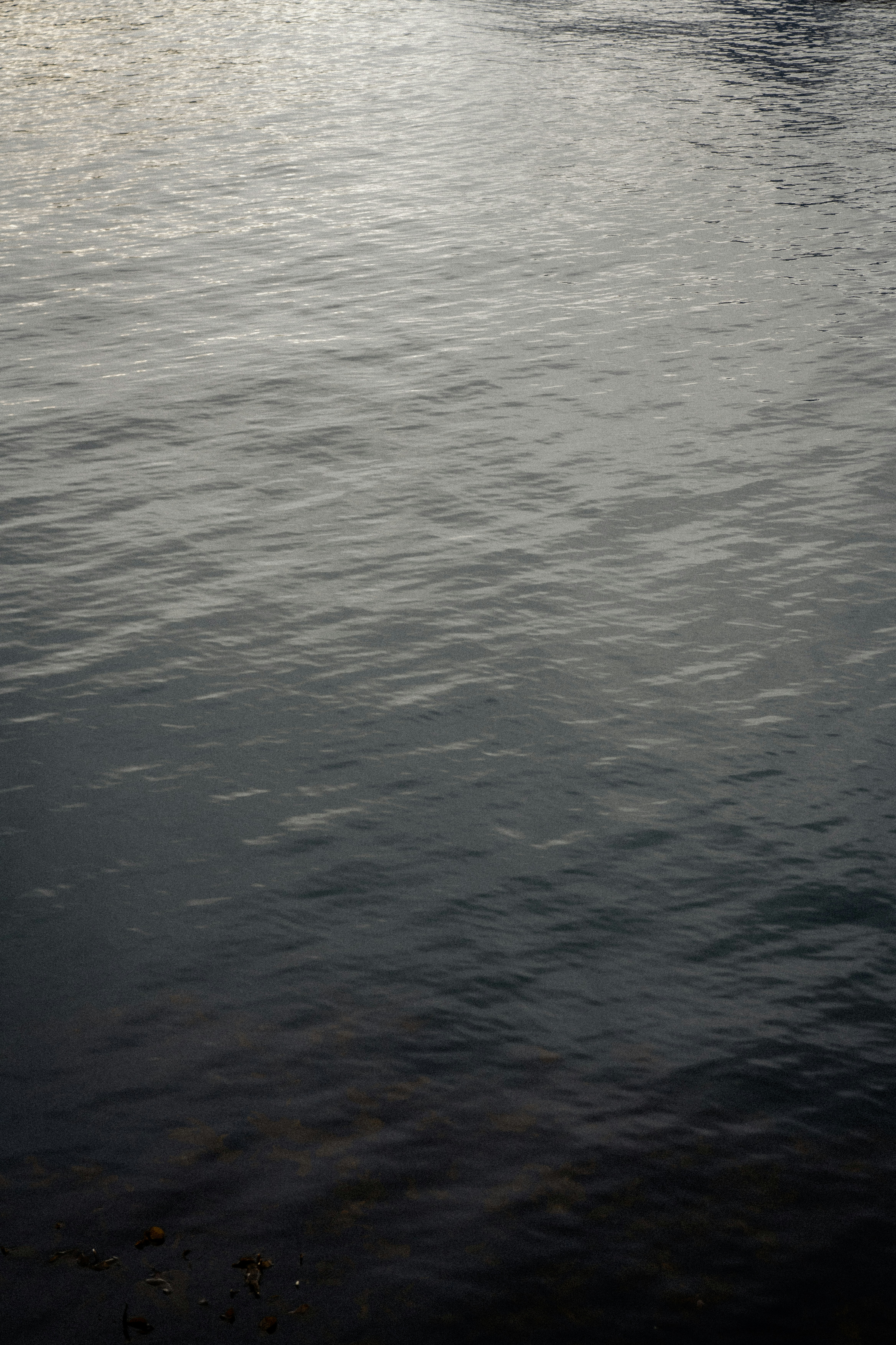 Photo by xandrovandewalle